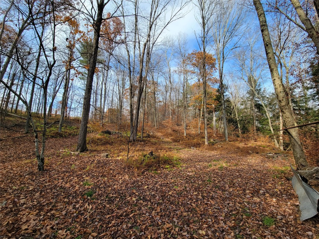 443 County Road 2 Greene, NY 13778 - Photo 29 of 39