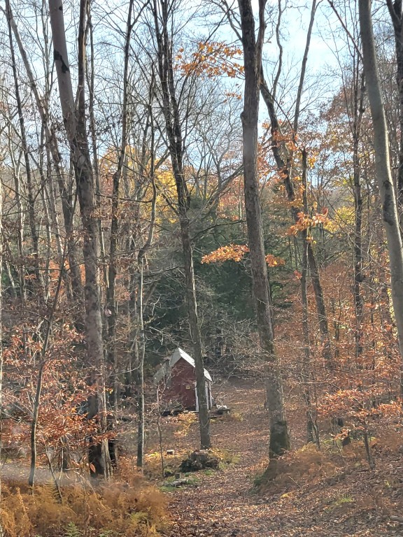 443 County Road 2 Greene, NY 13778 - Photo 30 of 39