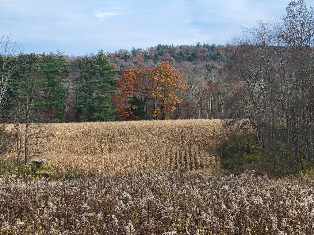 443 County Road 2 Greene, NY 13778 - Photo 3 of 39