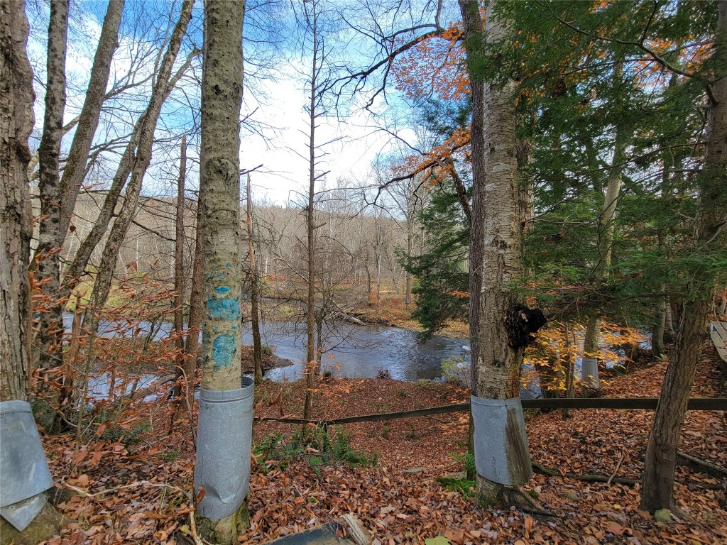 443 County Road 2 Greene, NY 13778 - Photo 31 of 39