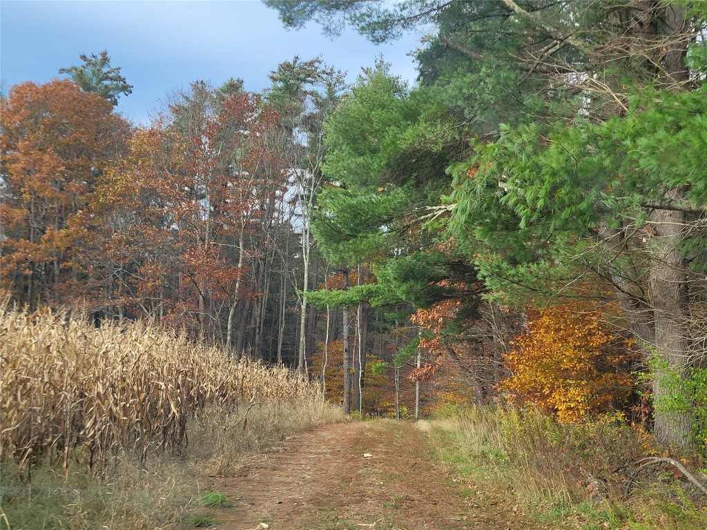 443 County Road 2 Greene, NY 13778 - Photo 4 of 39