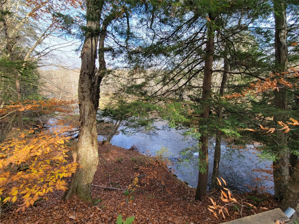 443 County Road 2 Greene, NY 13778 - Photo 5 of 39