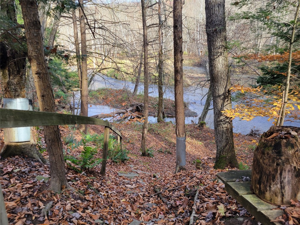 443 County Road 2 Greene, NY 13778 - Photo 6 of 39