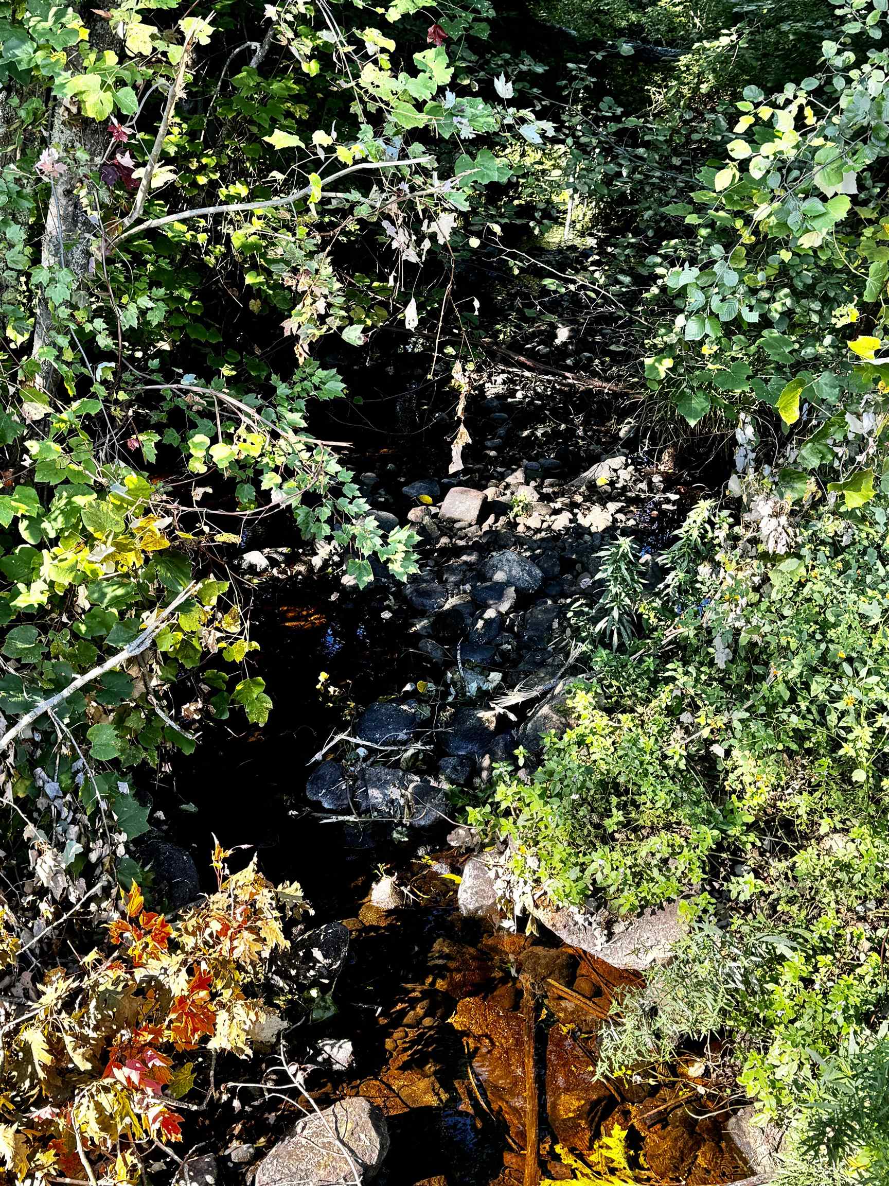 45 Old Bay Road New Durham, NH 03855 - Photo 55 of 59