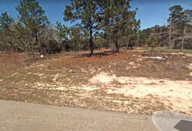 Southwest 144th Lane Road Ocala, FL 34473 - Photo 1 of 1 a view of outdoor space with trees