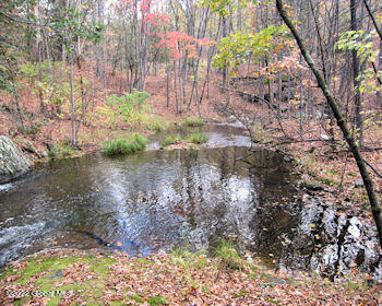 L2 Ten Neighbors Road Red Hook, NY 12571 - Photo 4 of 14 Columbia land4