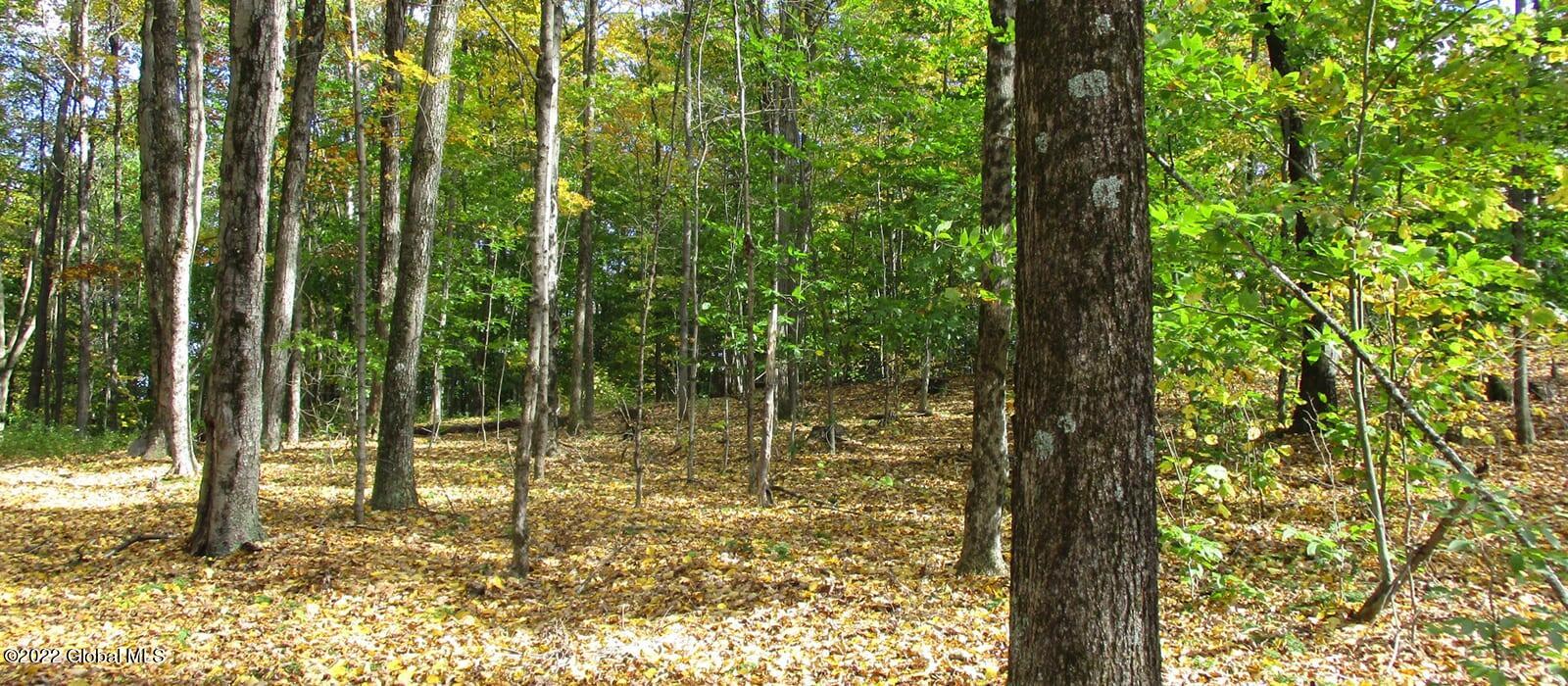 L2 Ten Neighbors Road Red Hook, NY 12571 - Photo 6 of 14 Land