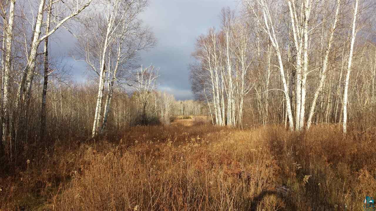 46 County Road 46 Sturgeon Lake, MN 55783 - Photo 11 of 20 Gallery Image 11