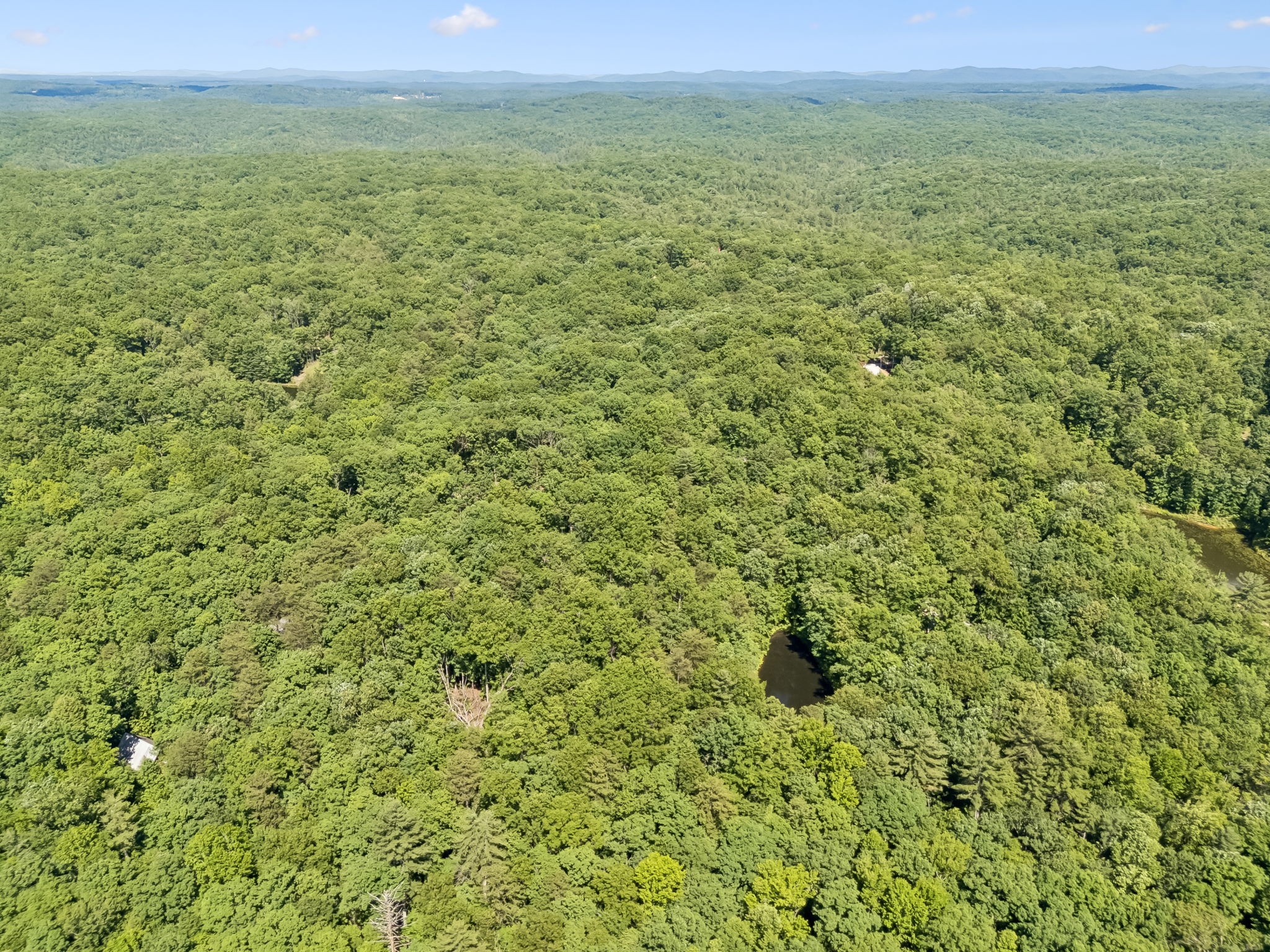 340 Doe Ridge Road Oneida, TN 37841 - Photo 92 of 99