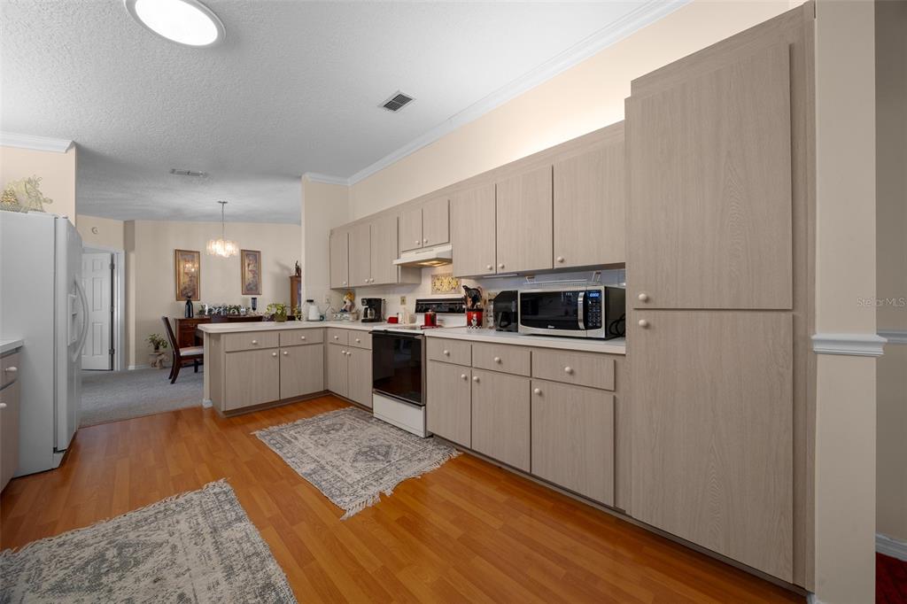 9567 Southeast 174th Place Road Summerfield, FL 34491 - Photo 12 of 50