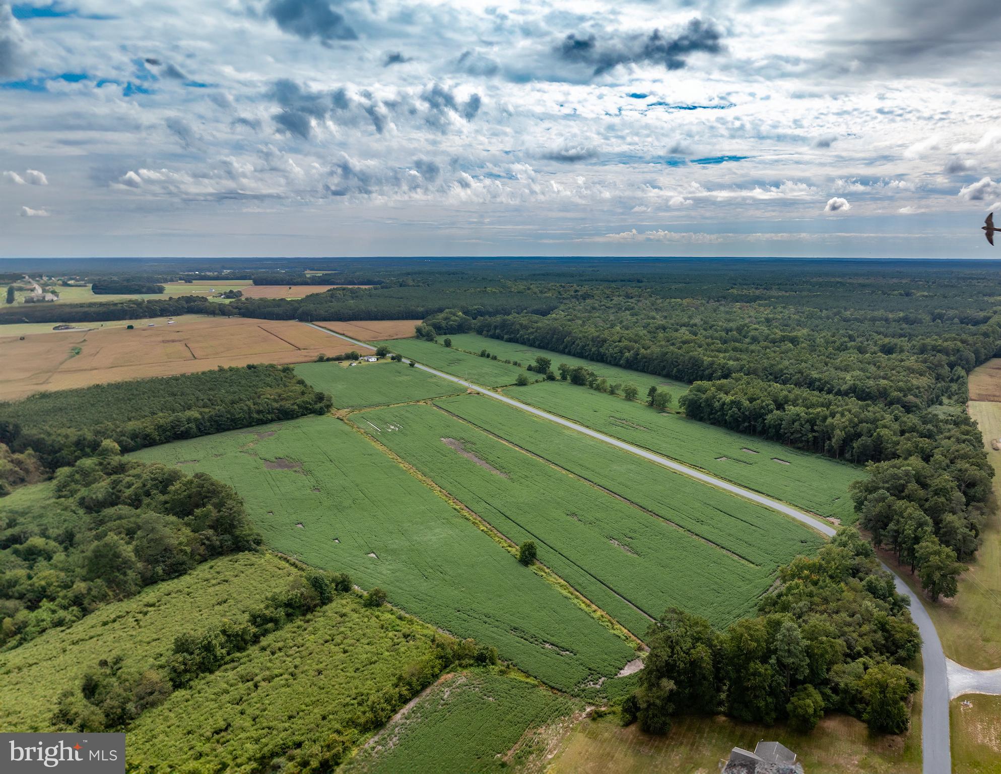 Wango Road Parsonsburg, MD 21849 - Photo 1 of 29