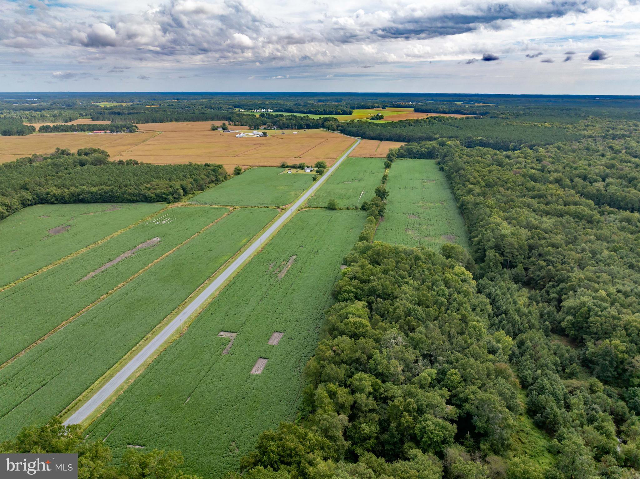 Wango Road Parsonsburg, MD 21849 - Photo 11 of 29