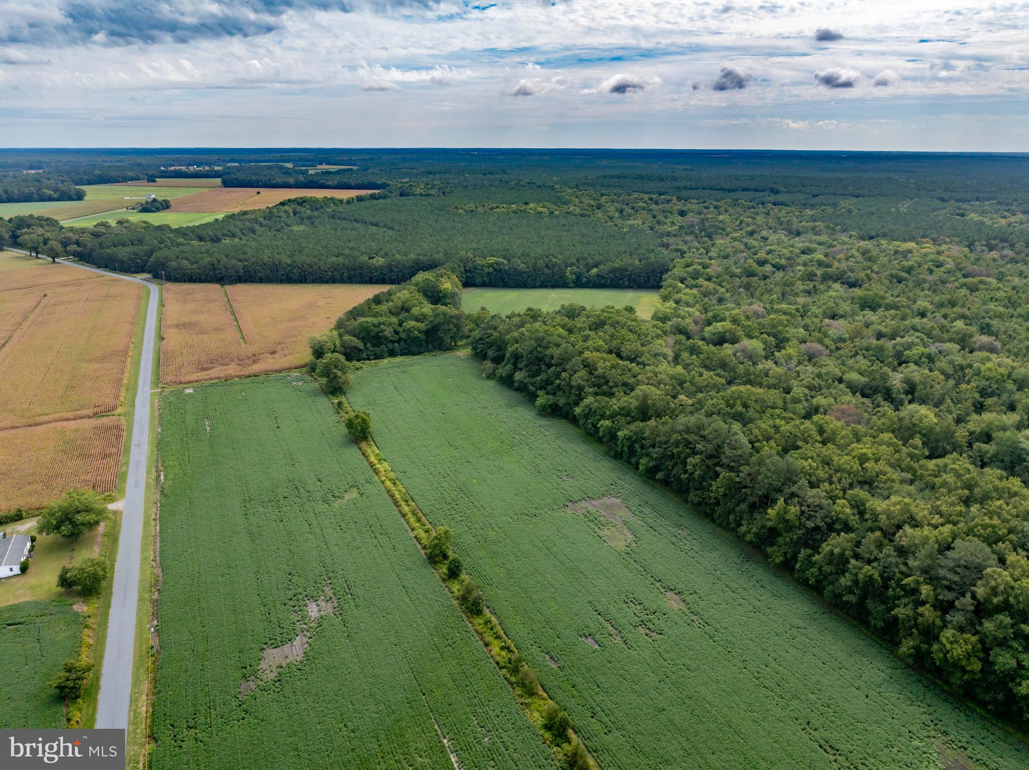 Wango Road Parsonsburg, MD 21849 - Photo 12 of 29