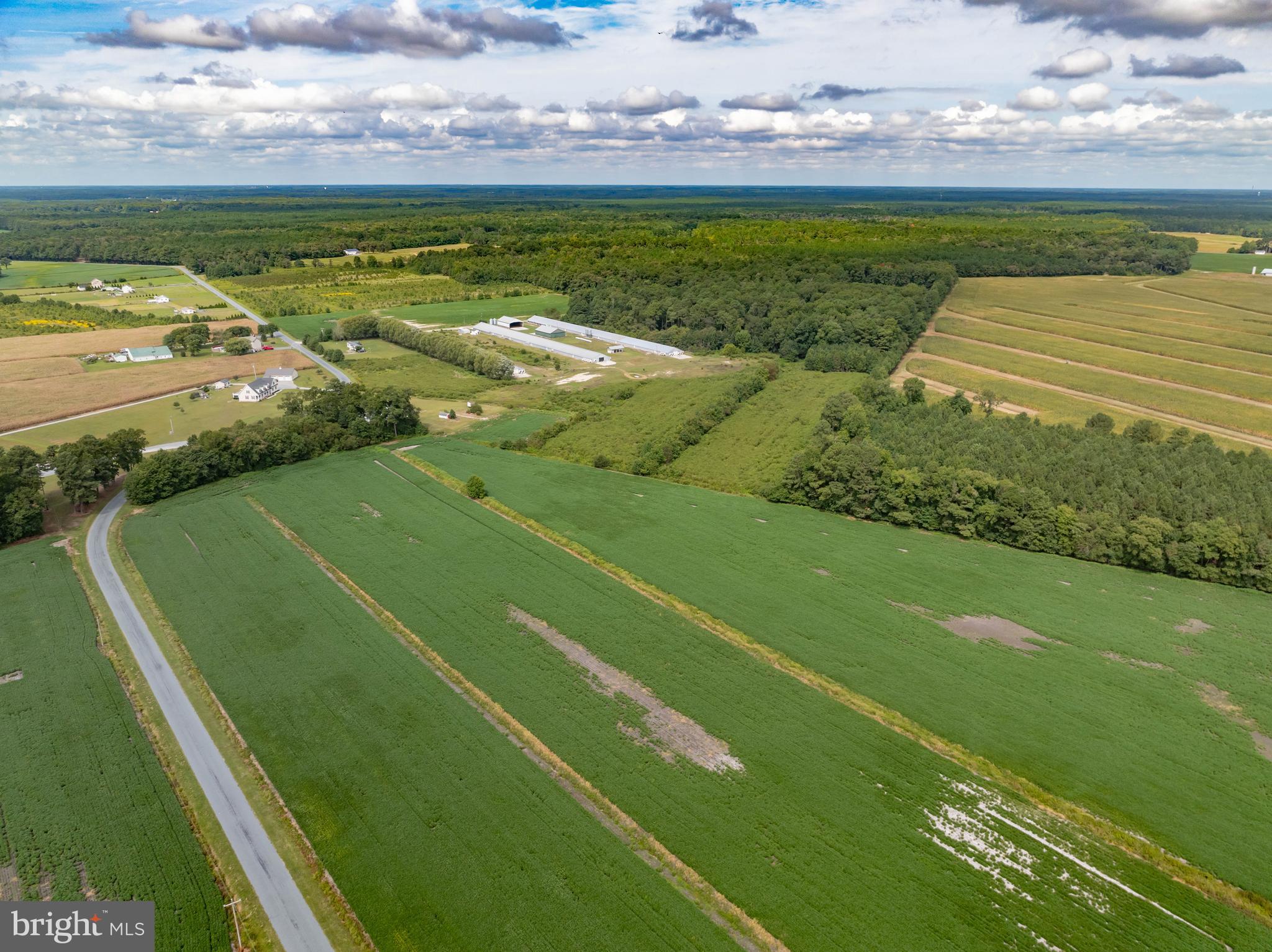 Wango Road Parsonsburg, MD 21849 - Photo 13 of 29