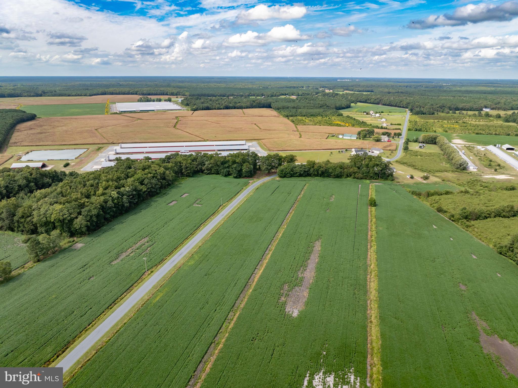 Wango Road Parsonsburg, MD 21849 - Photo 14 of 29