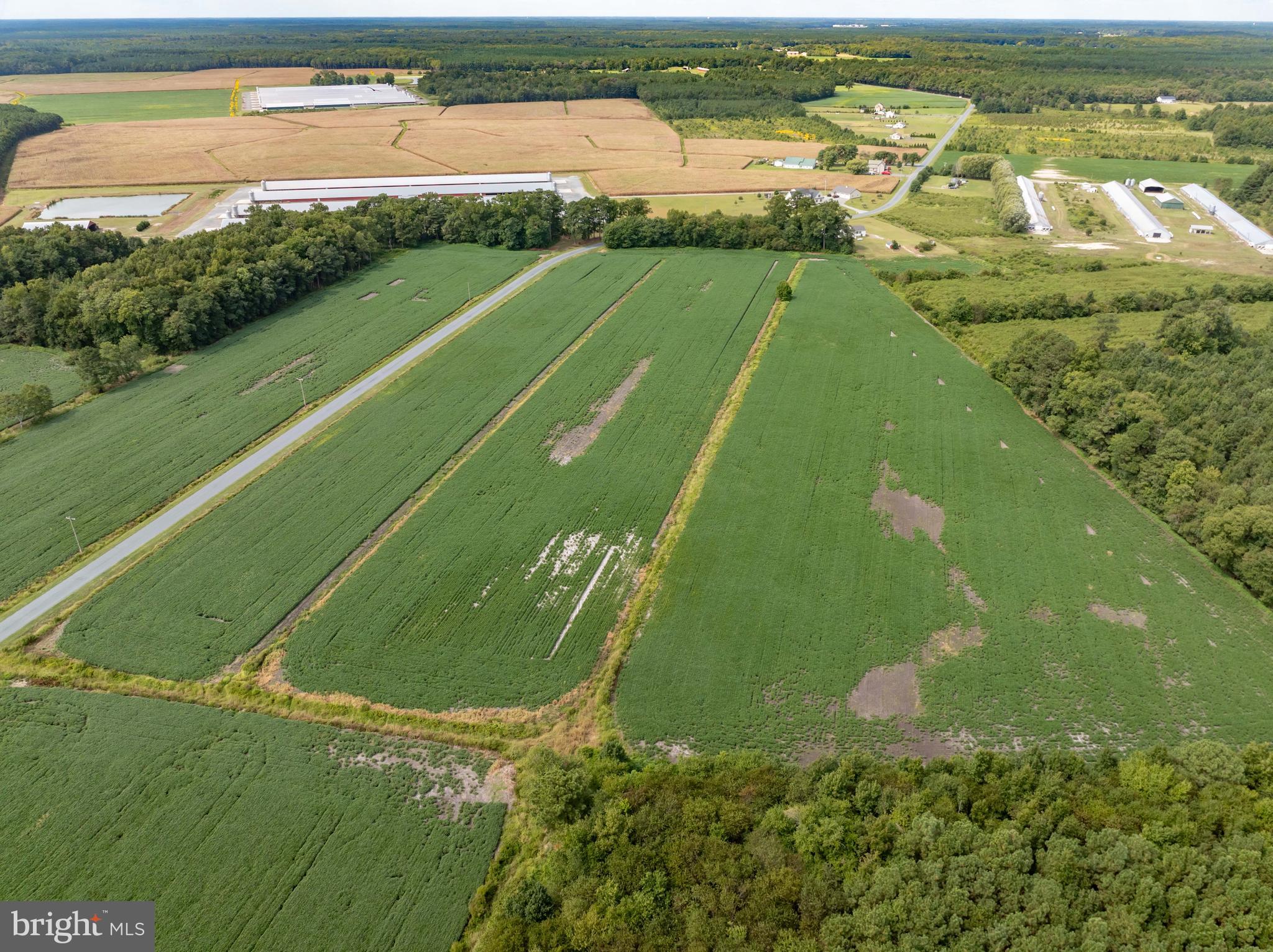 Wango Road Parsonsburg, MD 21849 - Photo 15 of 29