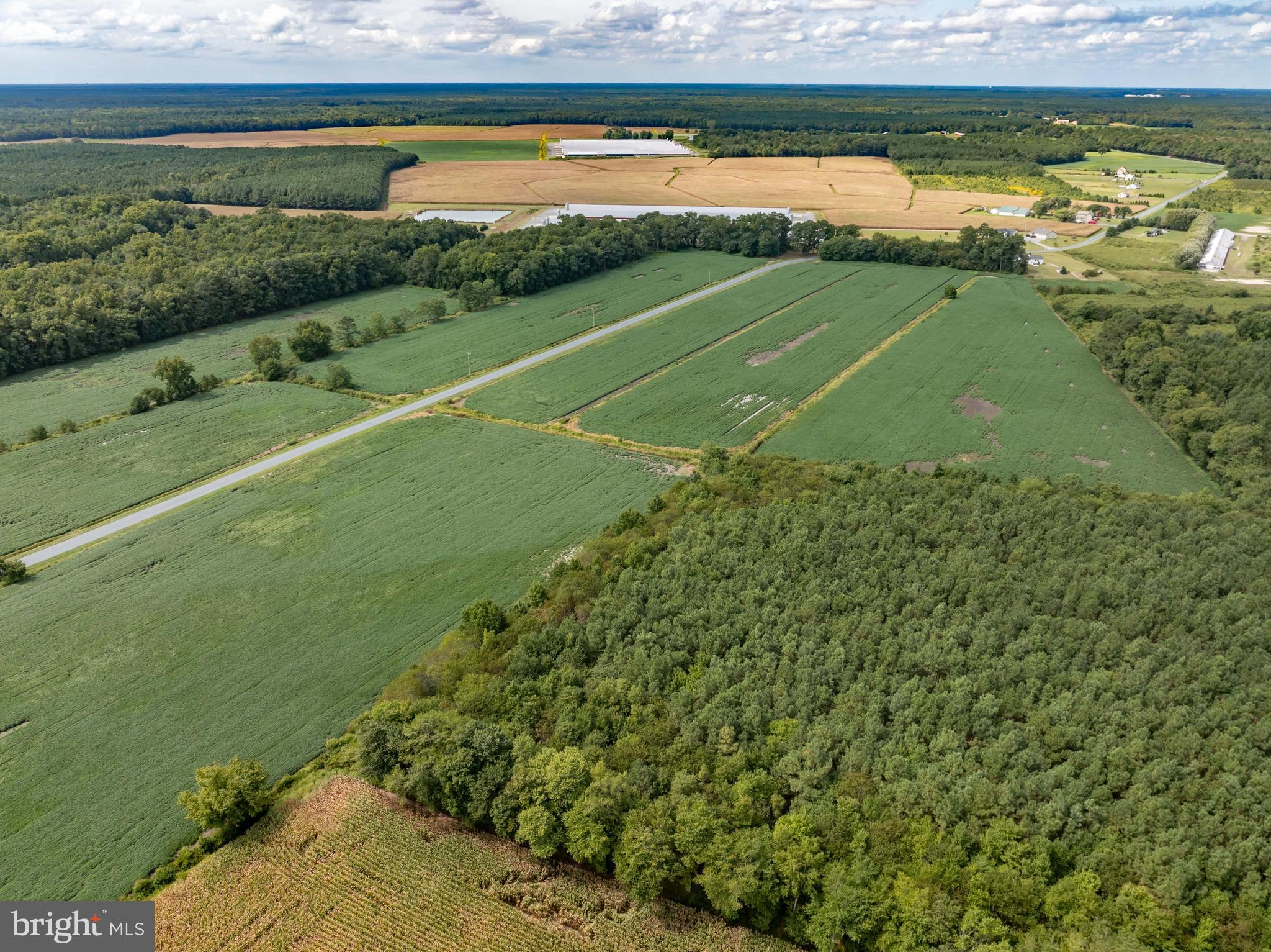 Wango Road Parsonsburg, MD 21849 - Photo 16 of 29