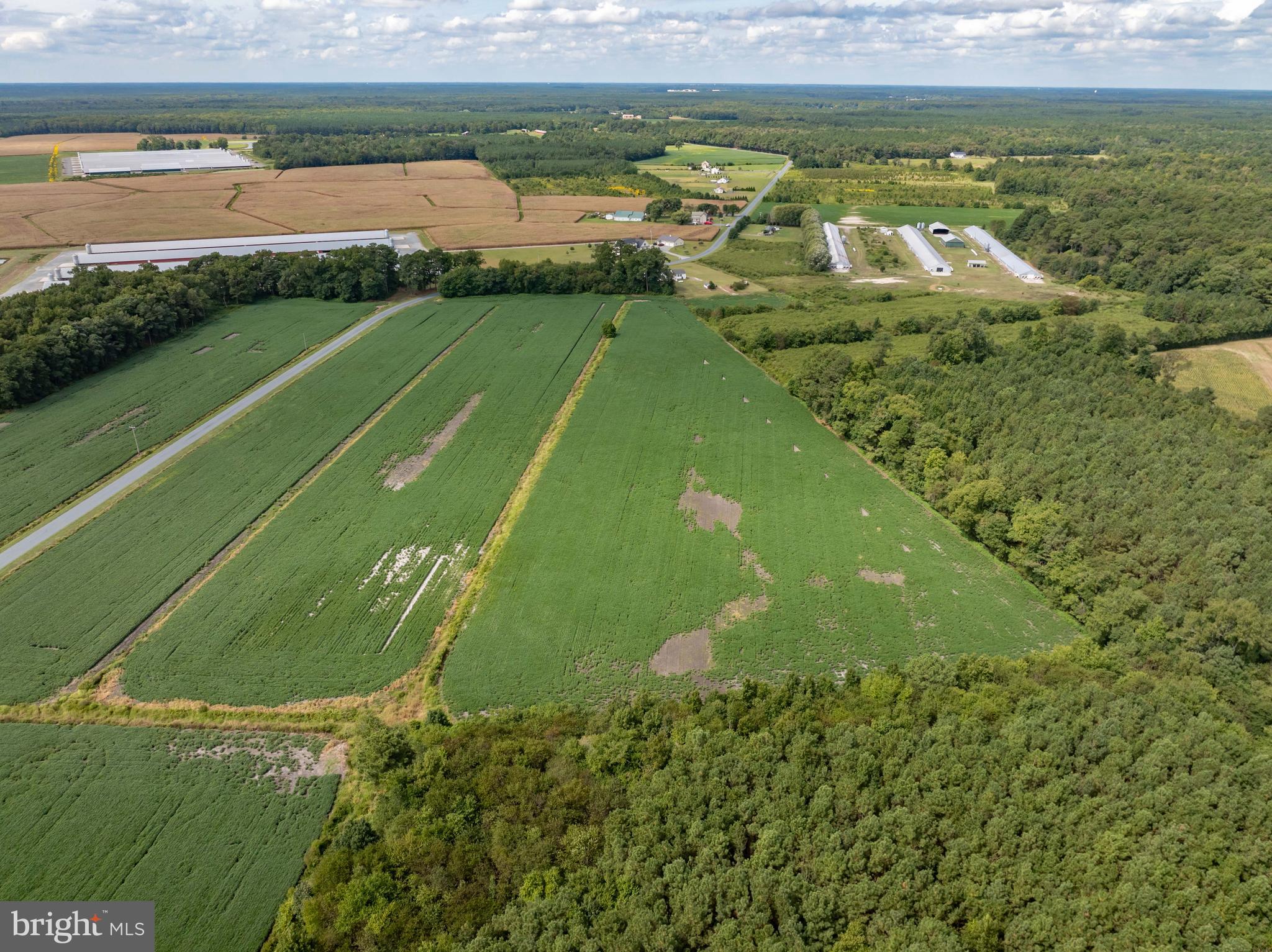 Wango Road Parsonsburg, MD 21849 - Photo 17 of 29