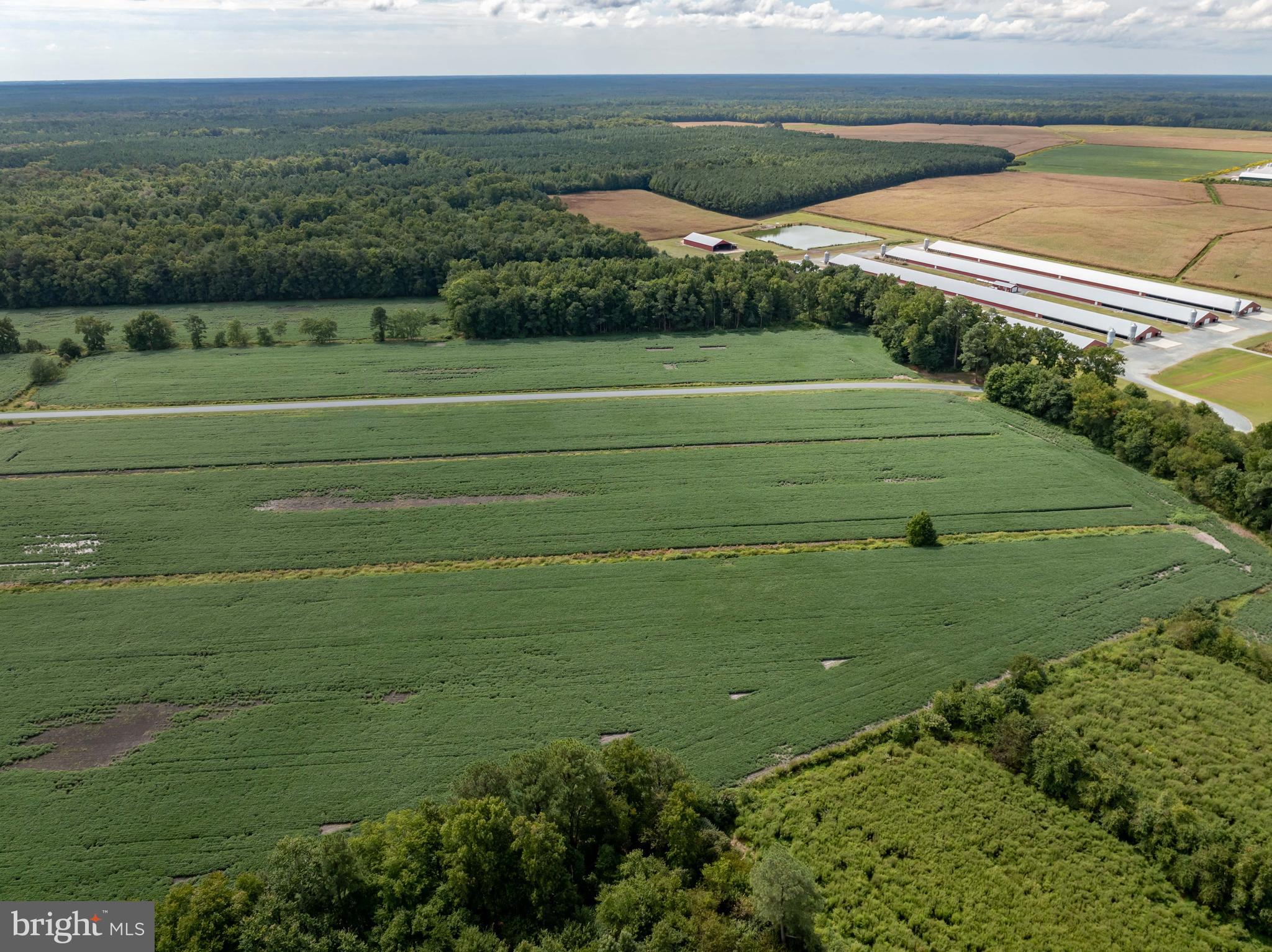 Wango Road Parsonsburg, MD 21849 - Photo 18 of 29