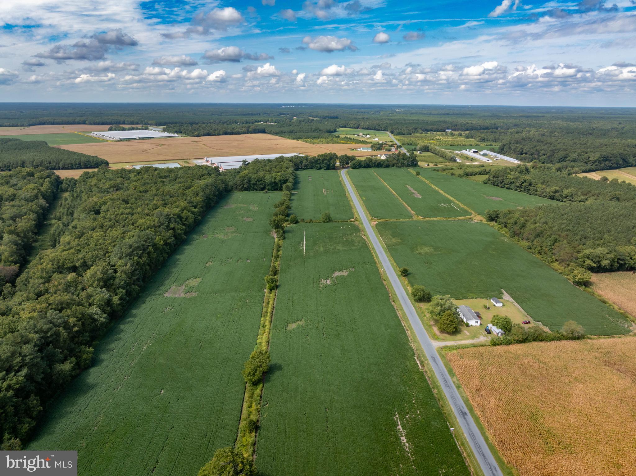 Wango Road Parsonsburg, MD 21849 - Photo 19 of 29