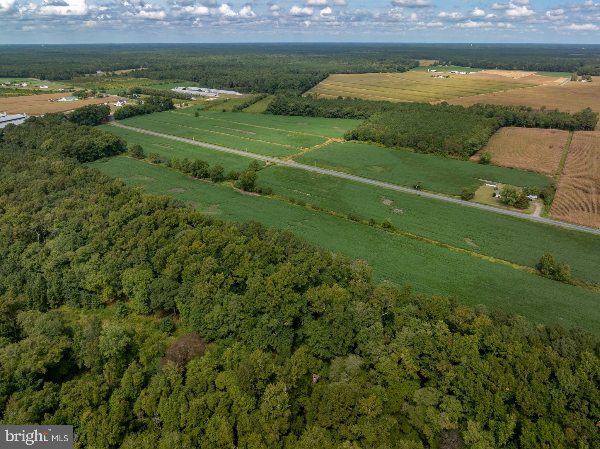 Wango Road Parsonsburg, MD 21849 - Photo 20 of 29