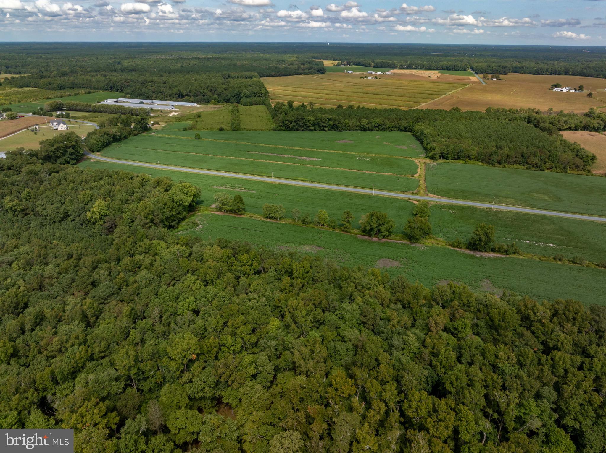 Wango Road Parsonsburg, MD 21849 - Photo 21 of 29