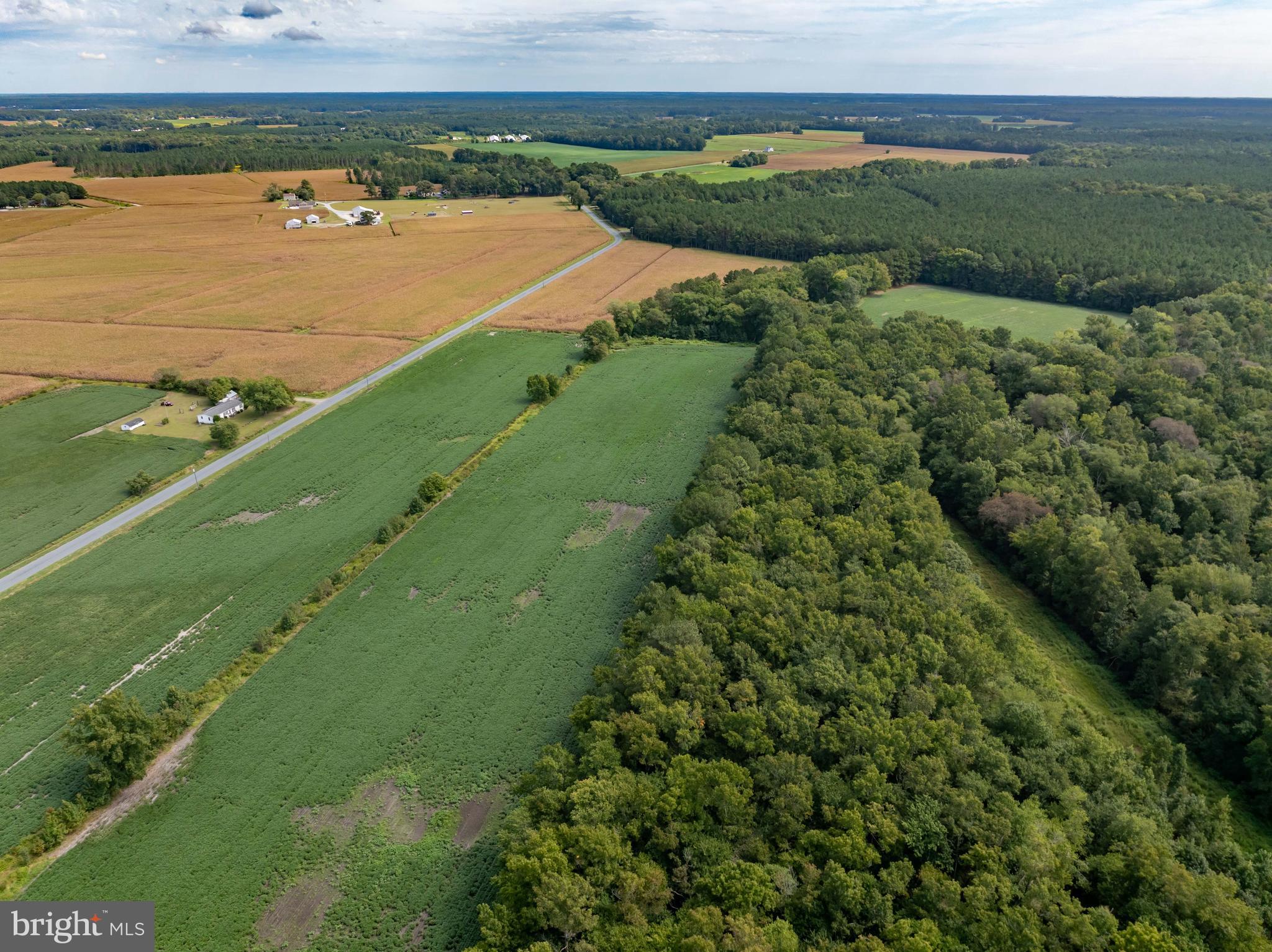 Wango Road Parsonsburg, MD 21849 - Photo 22 of 29