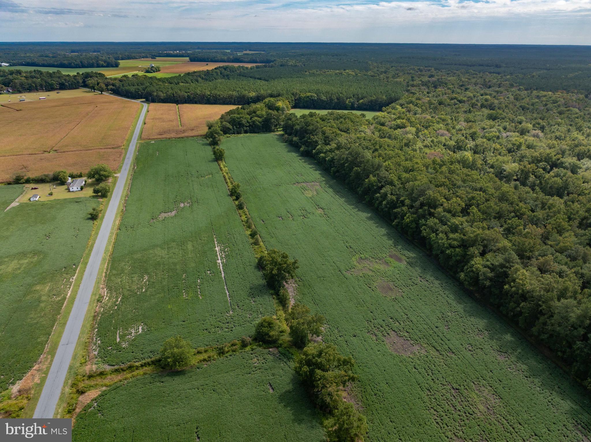 Wango Road Parsonsburg, MD 21849 - Photo 23 of 29