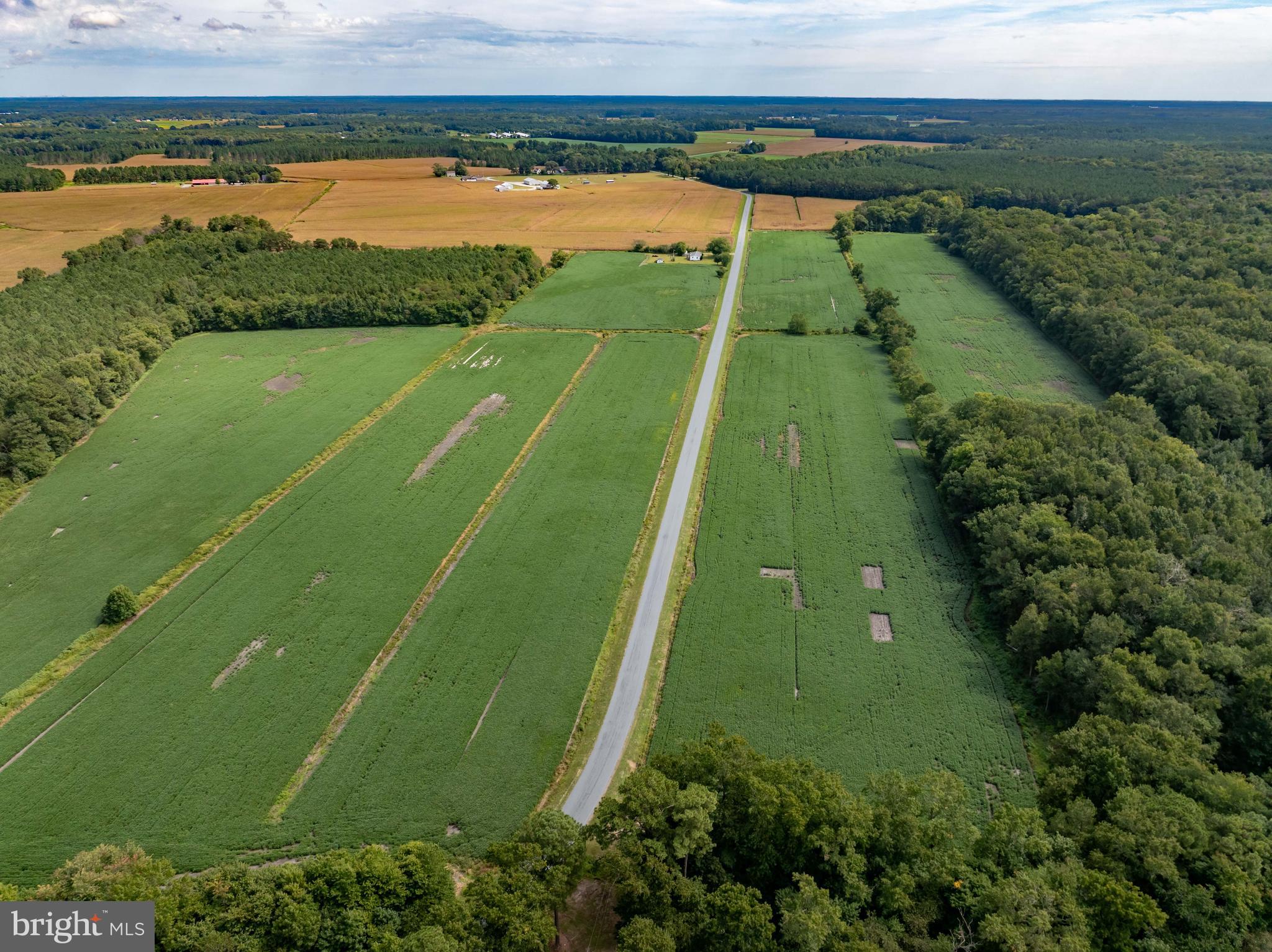 Wango Road Parsonsburg, MD 21849 - Photo 24 of 29