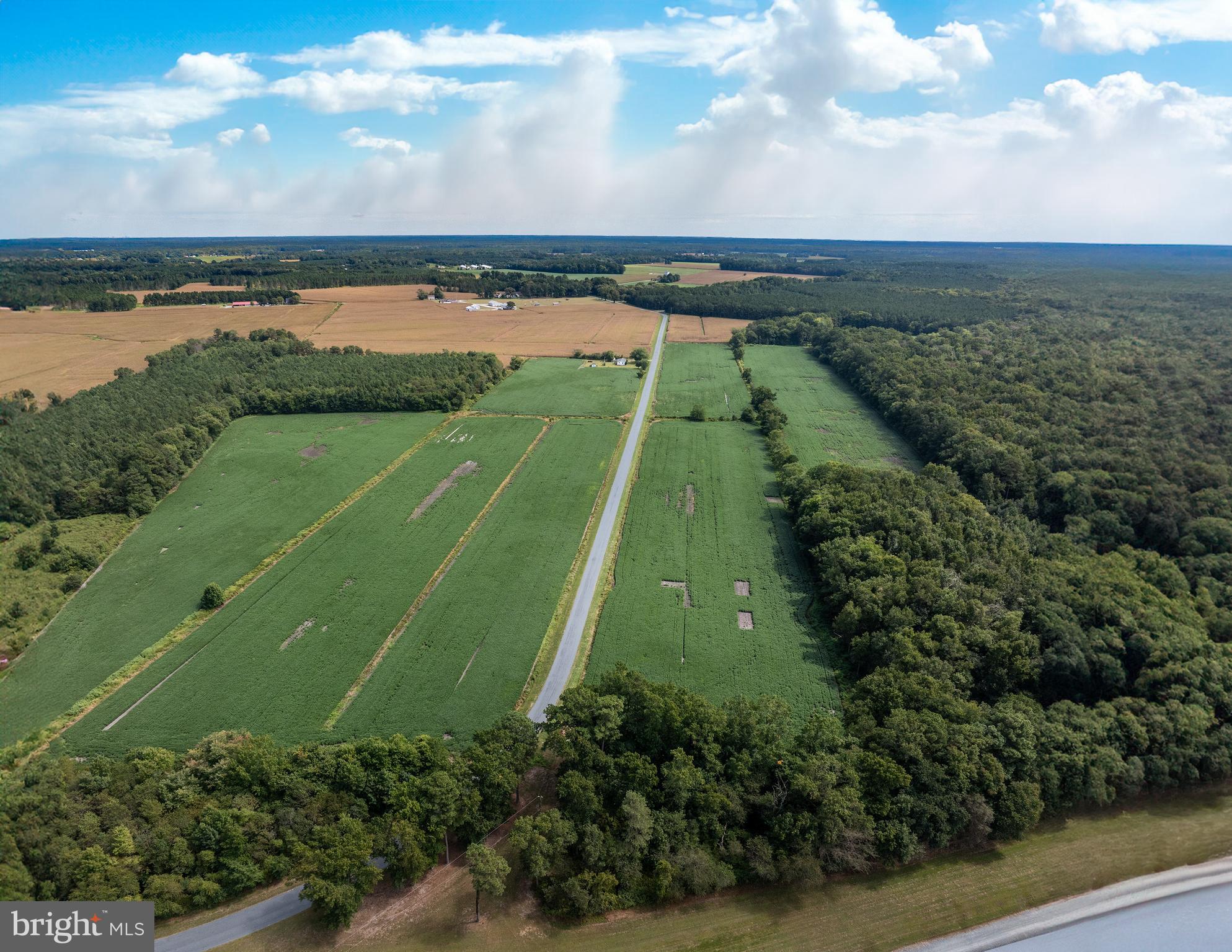 Wango Road Parsonsburg, MD 21849 - Photo 25 of 29