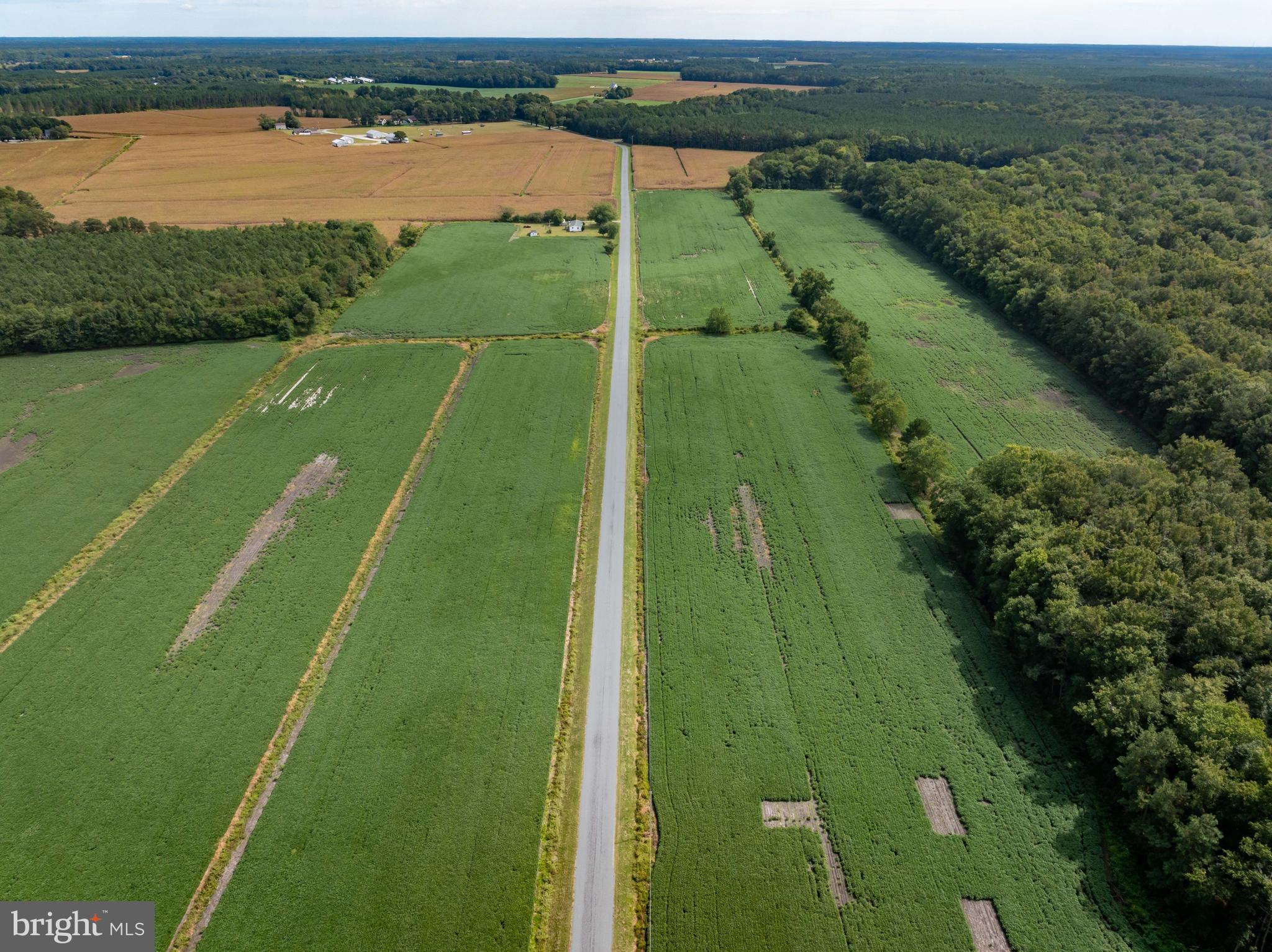 Wango Road Parsonsburg, MD 21849 - Photo 26 of 29