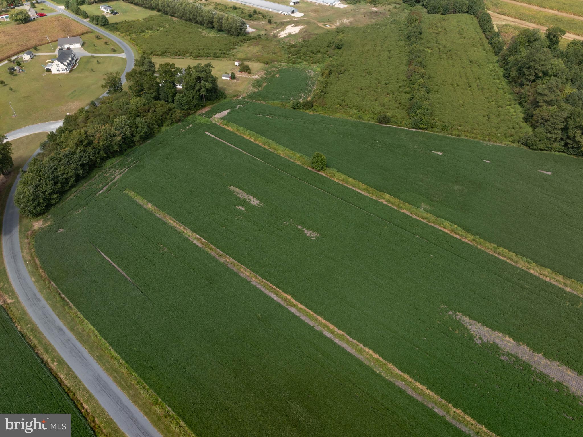 Wango Road Parsonsburg, MD 21849 - Photo 27 of 29