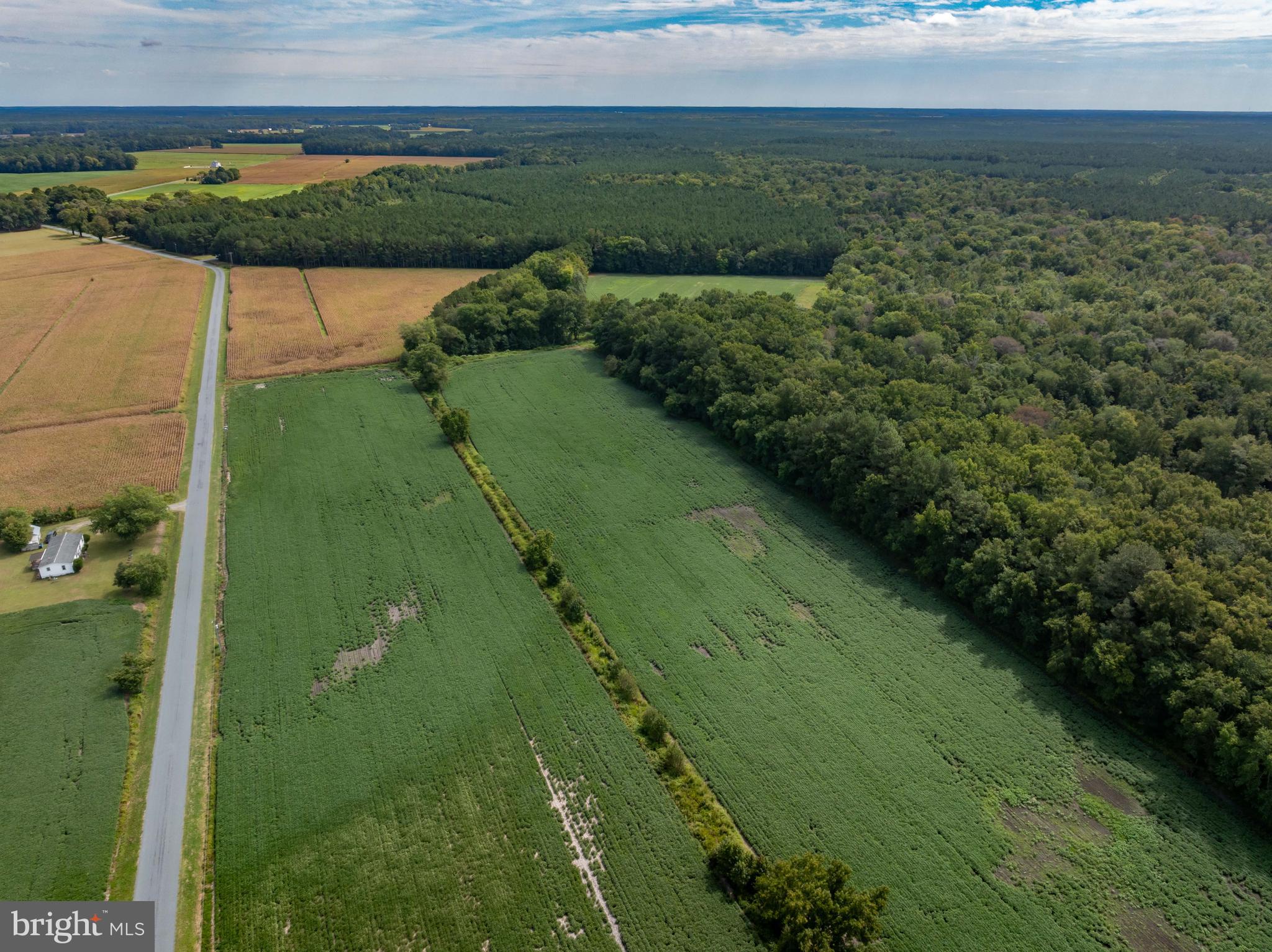 Wango Road Parsonsburg, MD 21849 - Photo 28 of 29