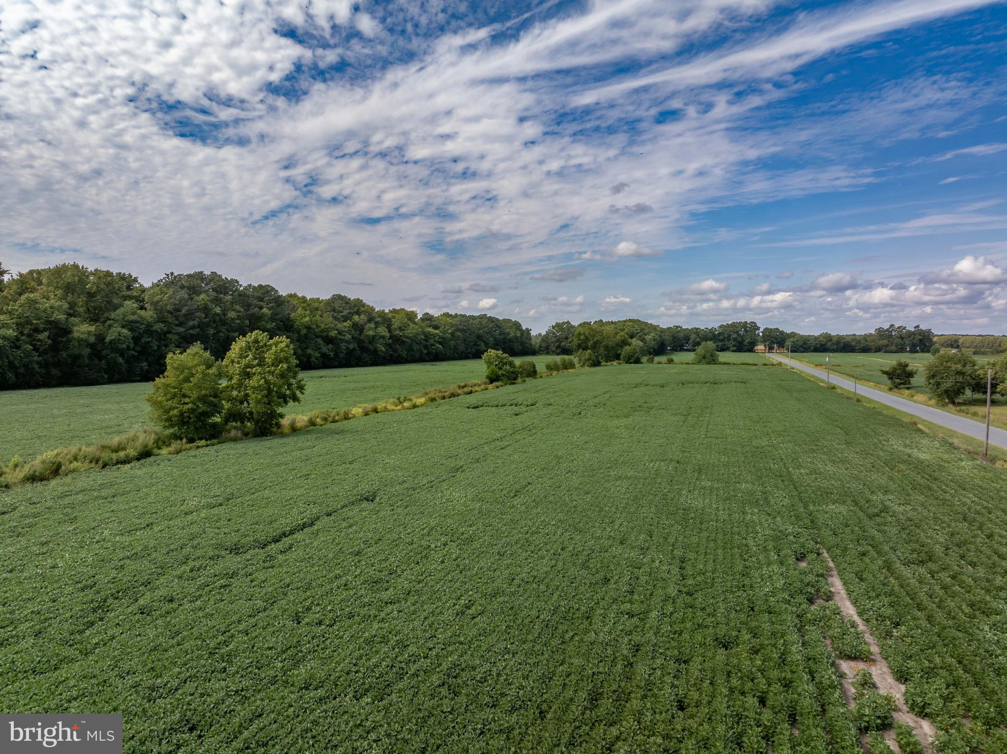 Wango Road Parsonsburg, MD 21849 - Photo 29 of 29