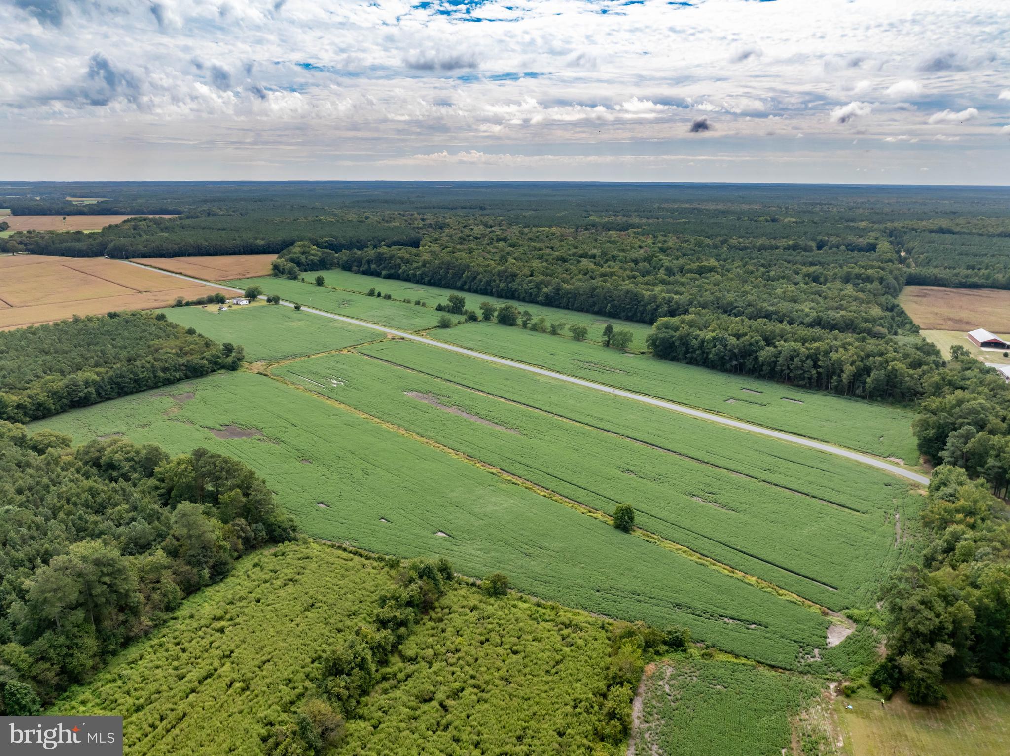 Wango Road Parsonsburg, MD 21849 - Photo 3 of 29