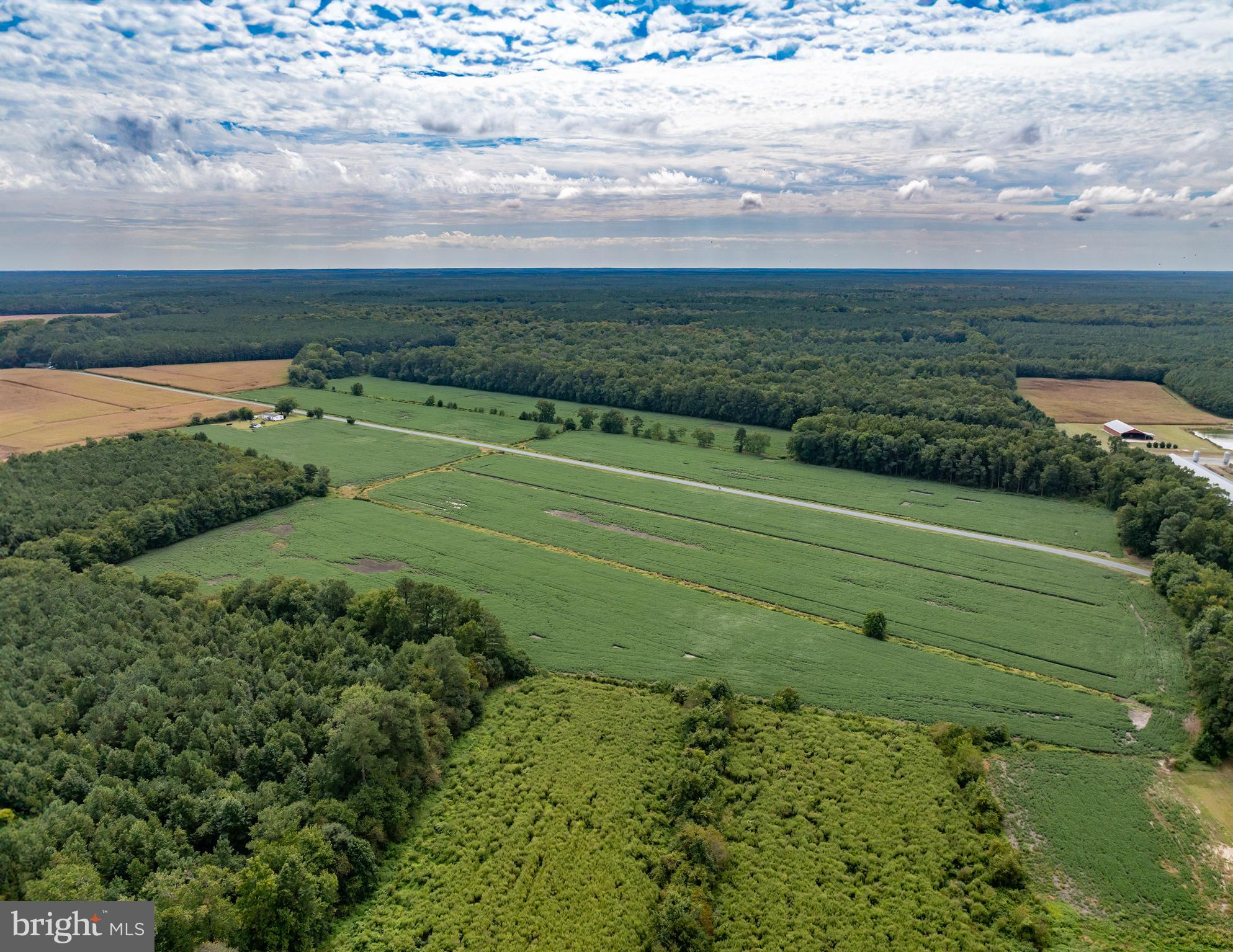 Wango Road Parsonsburg, MD 21849 - Photo 4 of 29