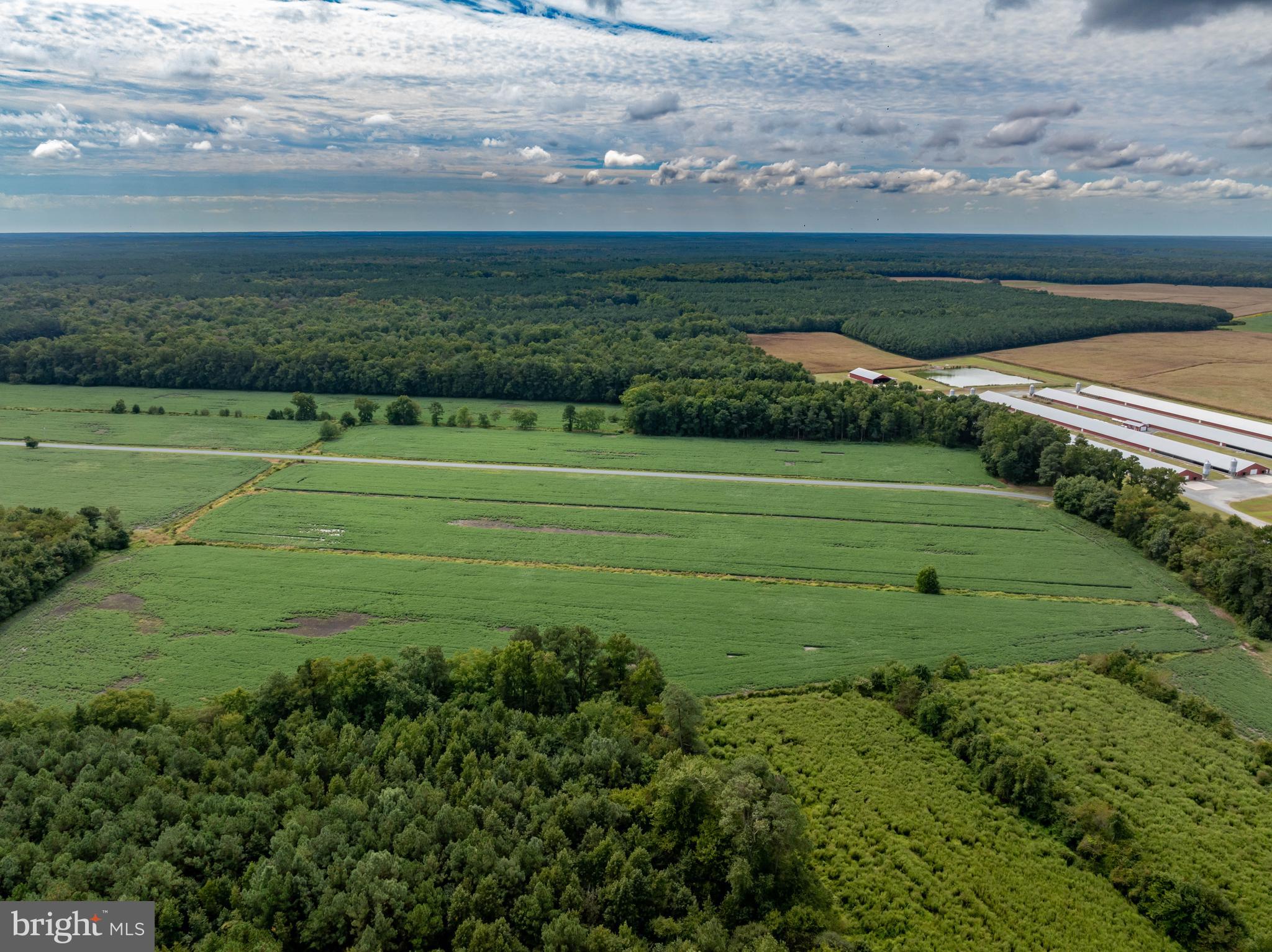 Wango Road Parsonsburg, MD 21849 - Photo 5 of 29