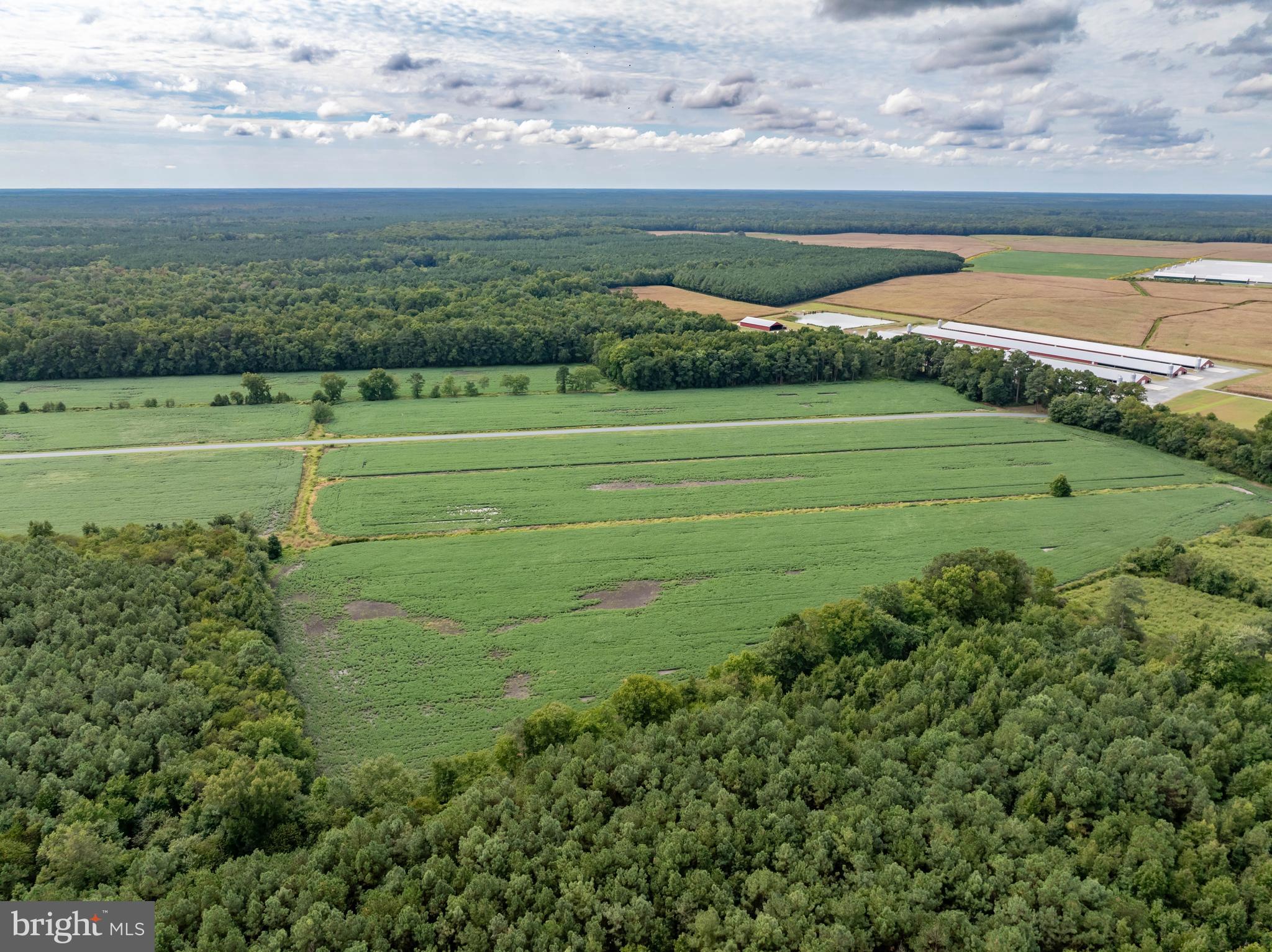 Wango Road Parsonsburg, MD 21849 - Photo 6 of 29