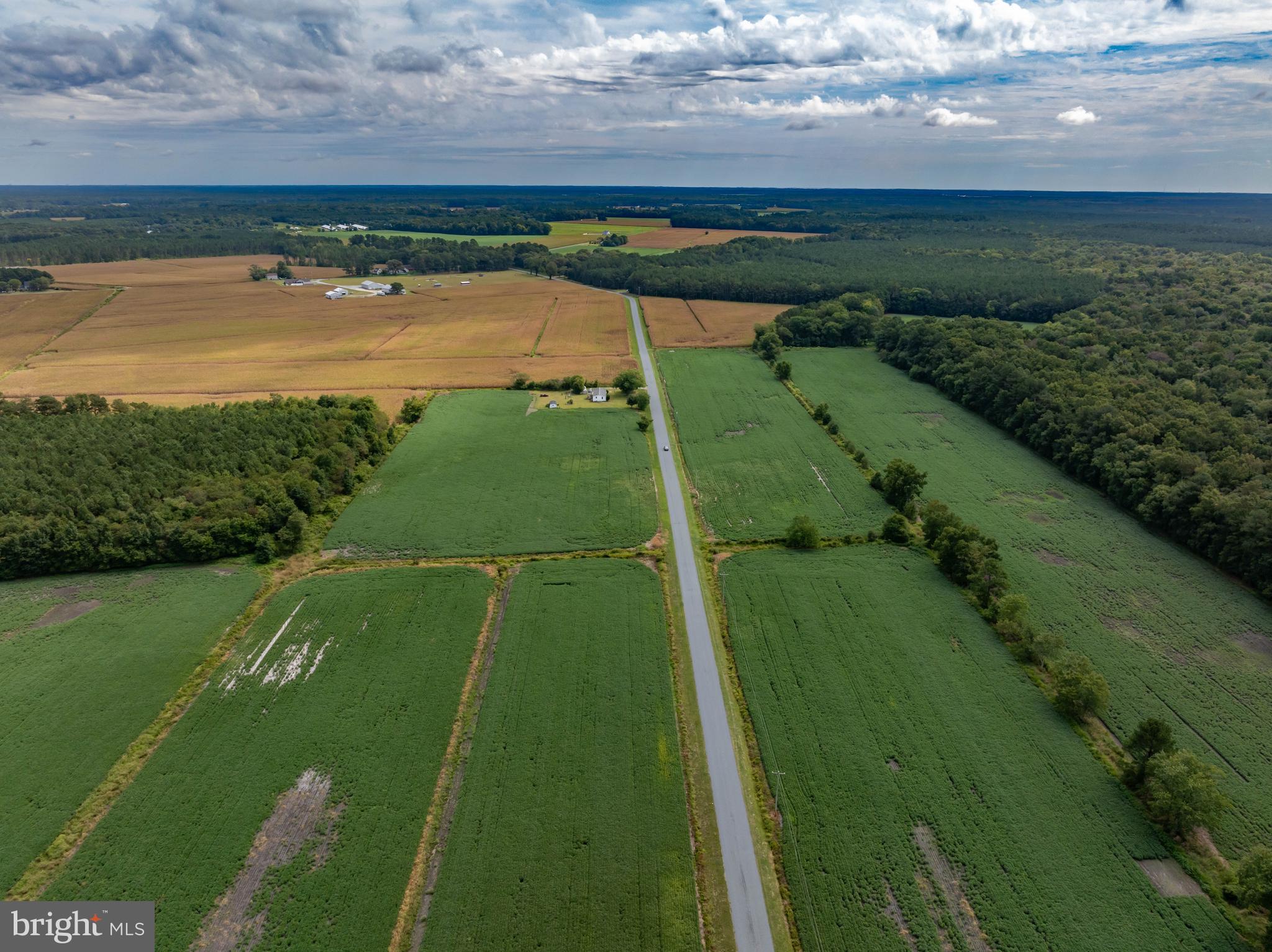 Wango Road Parsonsburg, MD 21849 - Photo 8 of 29