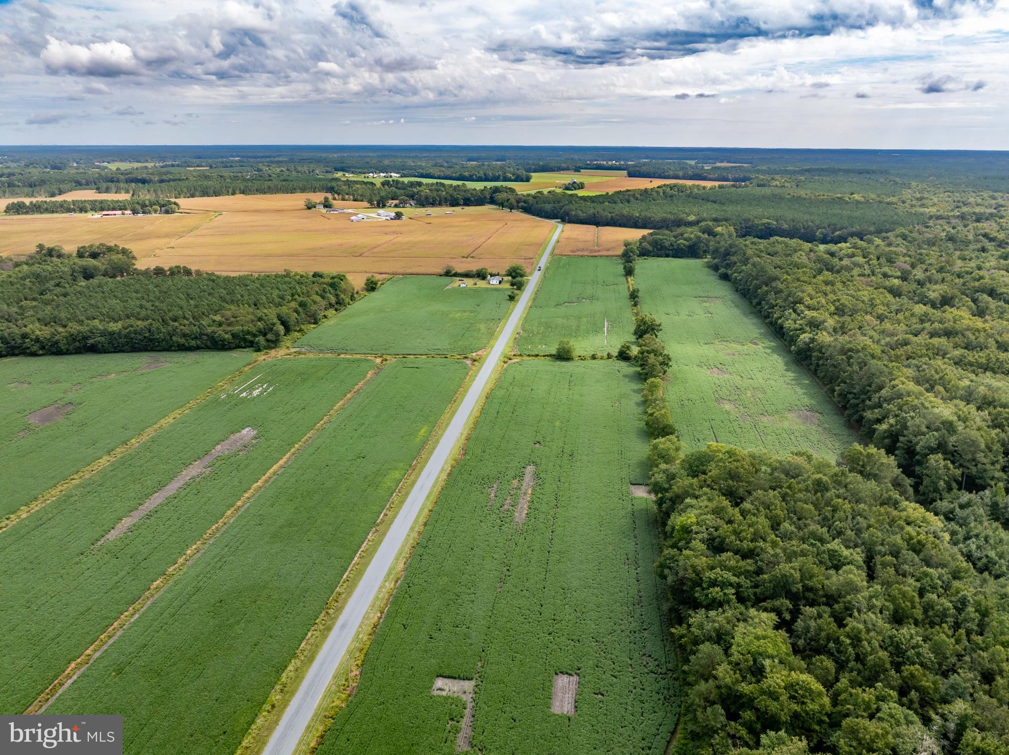 Wango Road Parsonsburg, MD 21849 - Photo 9 of 29