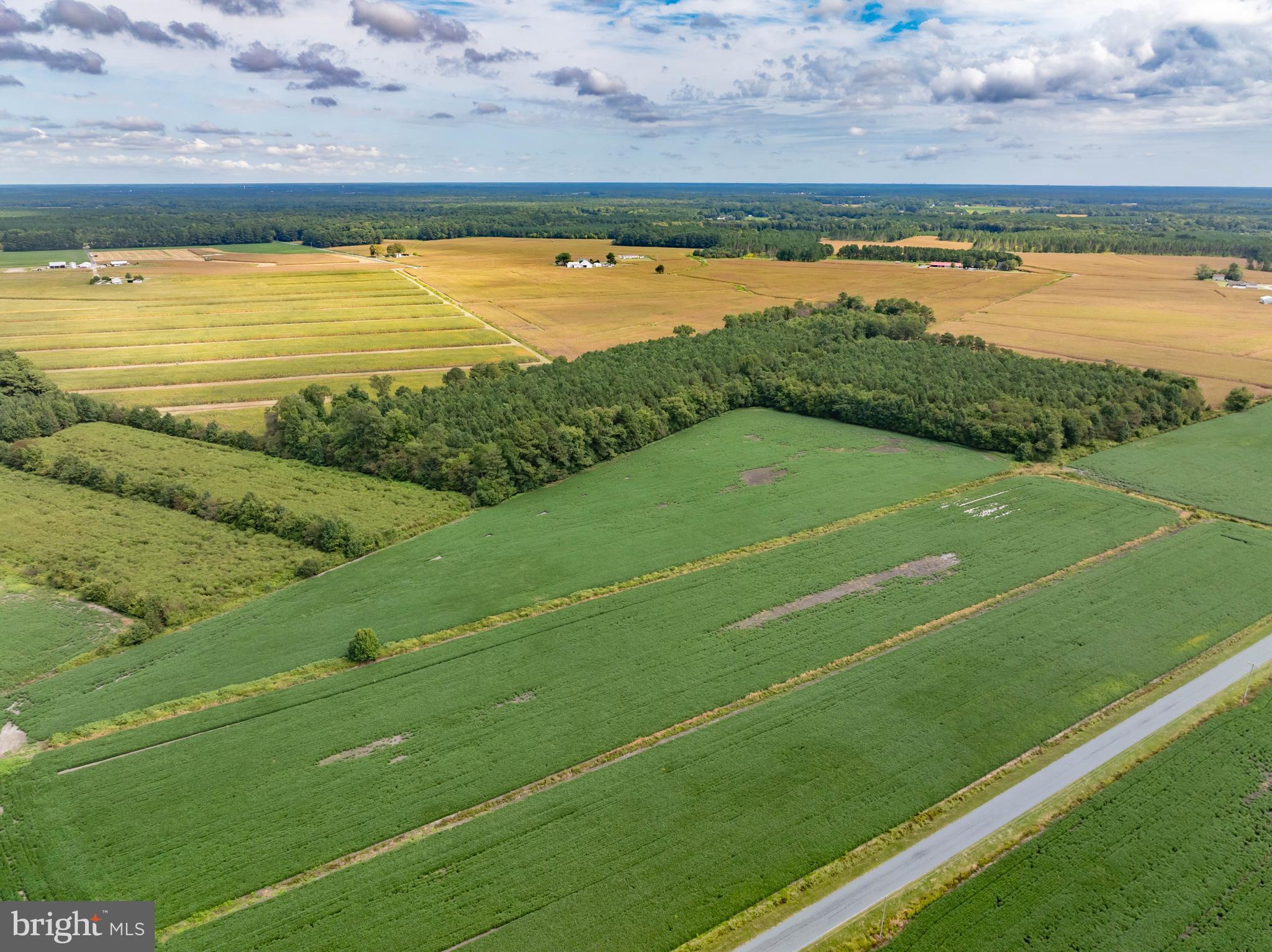 Wango Road Parsonsburg, MD 21849 - Photo 10 of 29