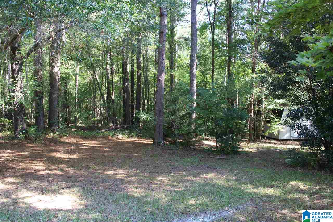 4647 Choccolocco Road Anniston, AL 36207 - Photo 32 of 32