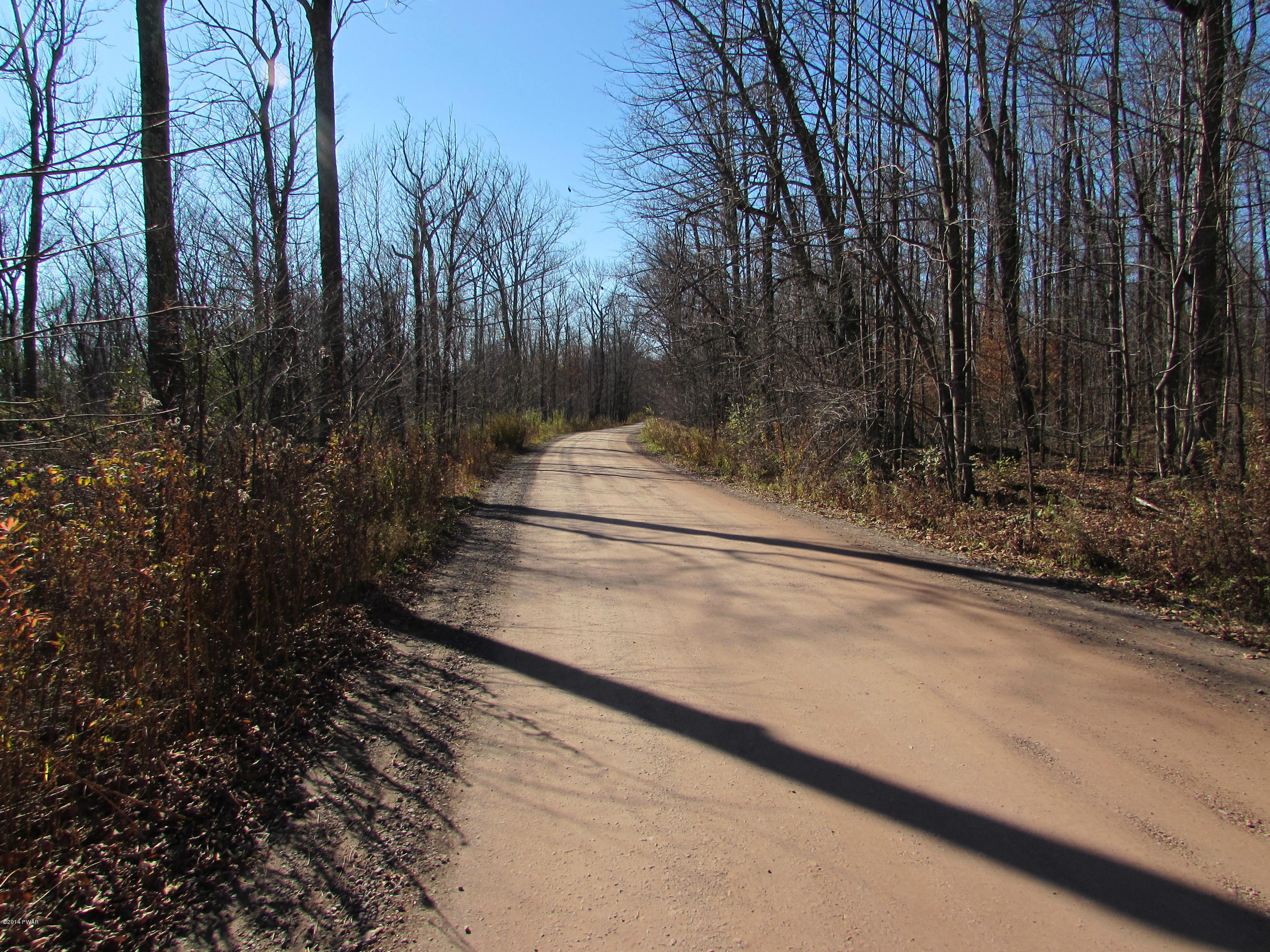 Flat Rock Road Tyler Hill, PA 18469 - Photo 2 of 4