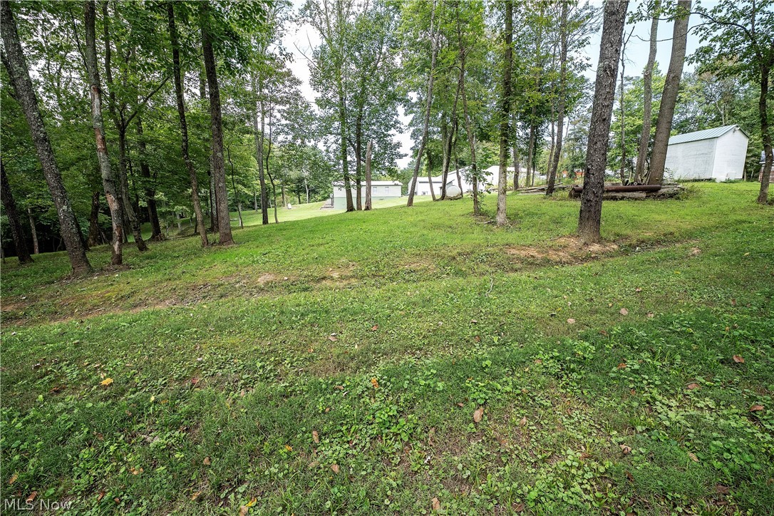 8750 Ridgley Road Mount Perry, OH 43760 - Photo 35 of 35