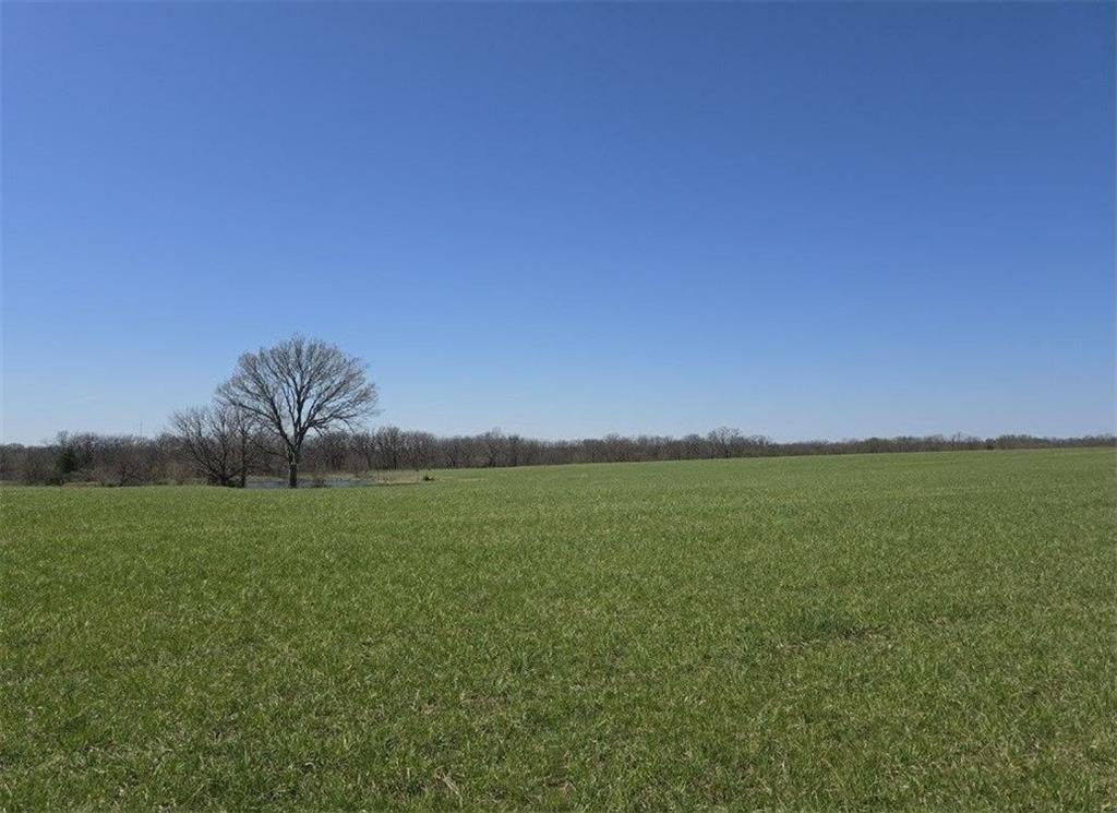 Tbd Southwest 295th Road Holden, MO 64040 - Photo 13 of 22