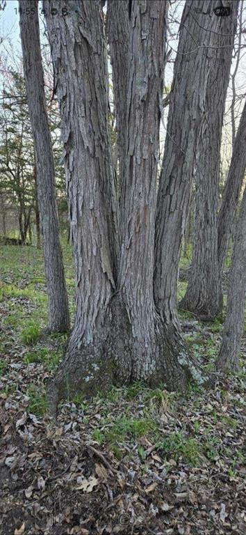 Tbd Southwest 295th Road Holden, MO 64040 - Photo 20 of 22