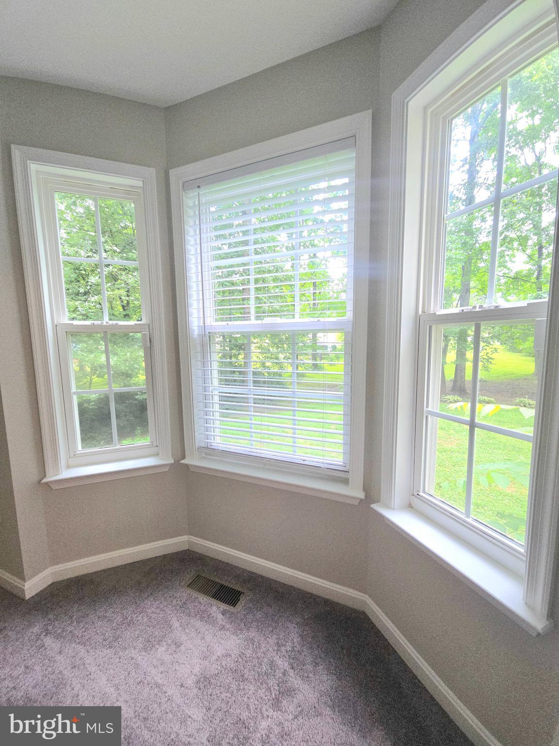 3605 Burton Road Bumpass, VA 23024 - Photo 11 of 44 a view of an empty room with a window