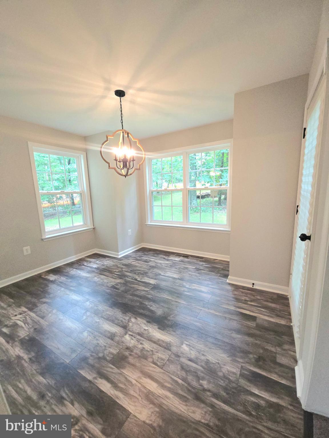 3605 Burton Road Bumpass, VA 23024 - Photo 15 of 44 an empty room with wooden floor fireplace and windows