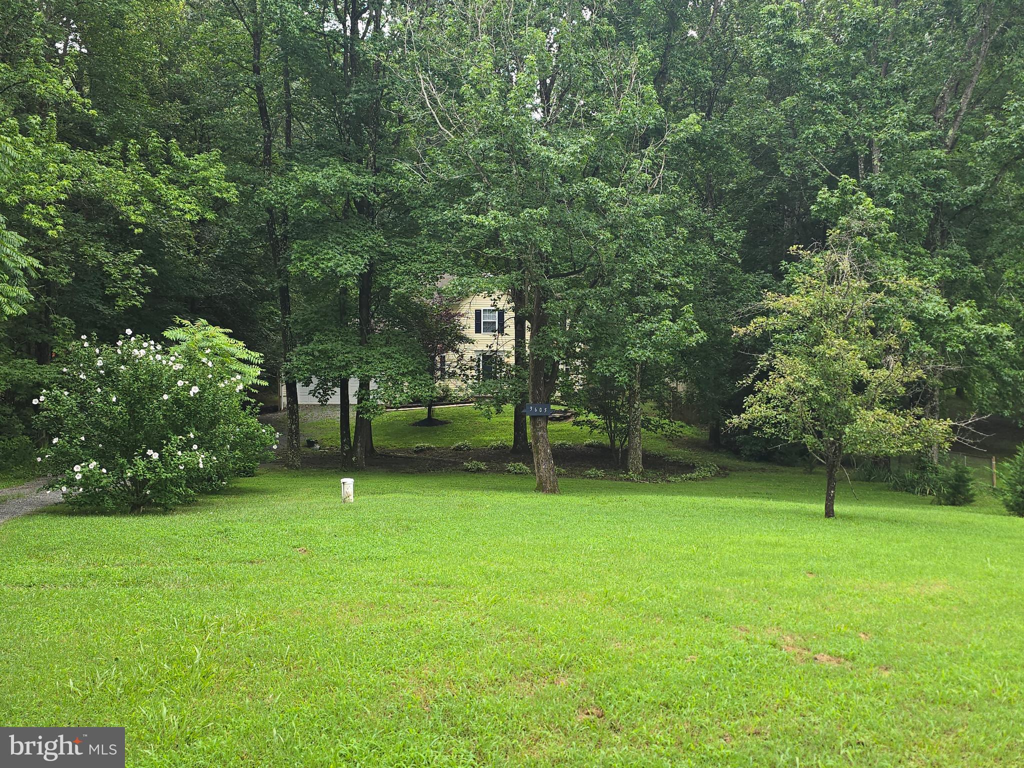 3605 Burton Road Bumpass, VA 23024 - Photo 4 of 44 a view of a trees in a park