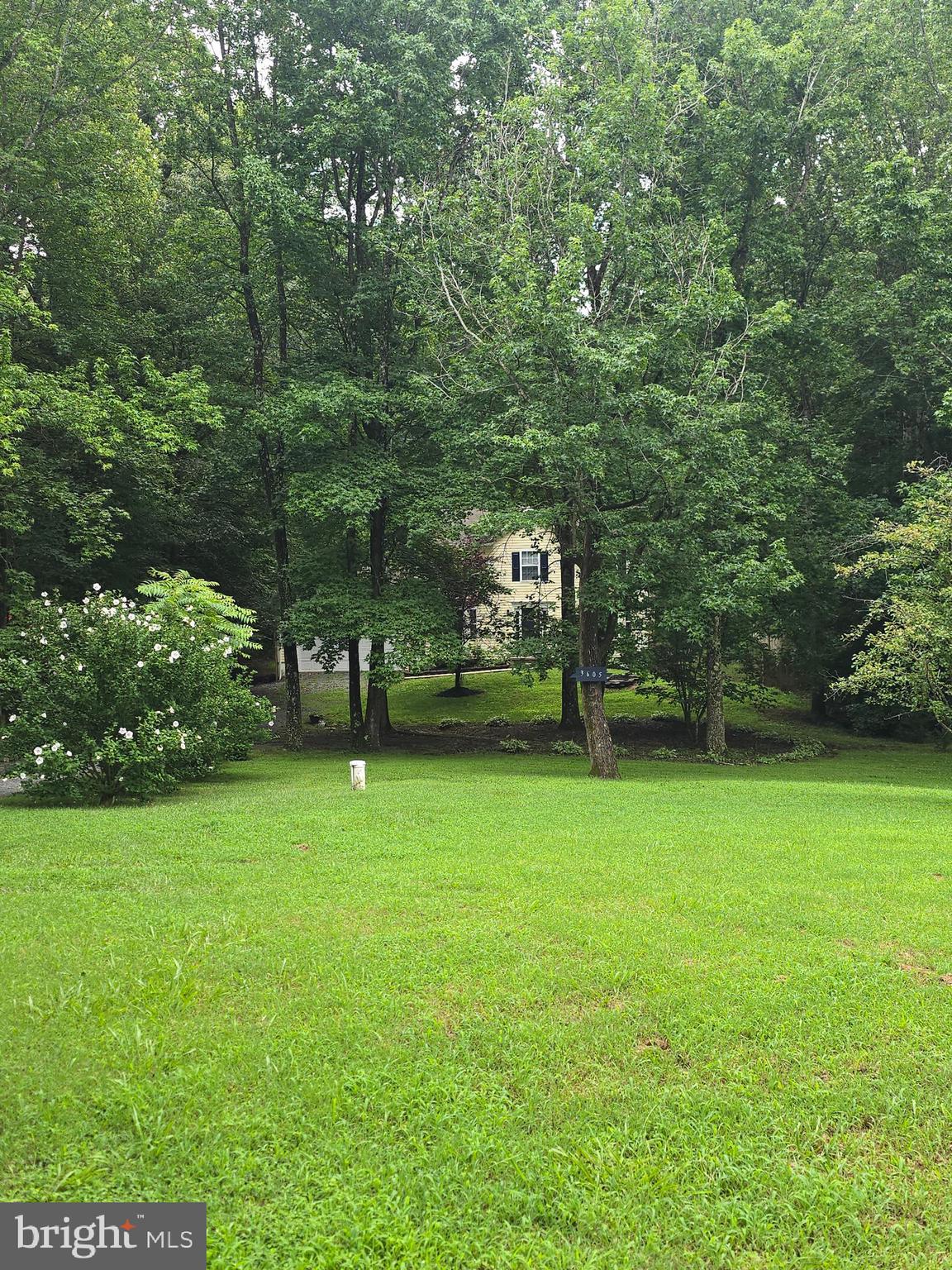 3605 Burton Road Bumpass, VA 23024 - Photo 5 of 44 a view of a trees in a yard
